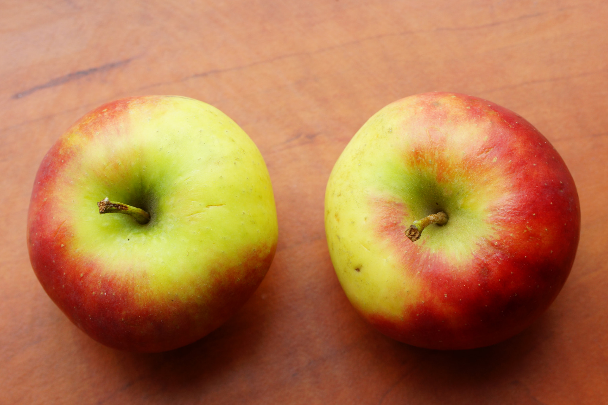 Sony SLT-A77 + Tamron Lens (255) sample photo. Two elstar apples photography