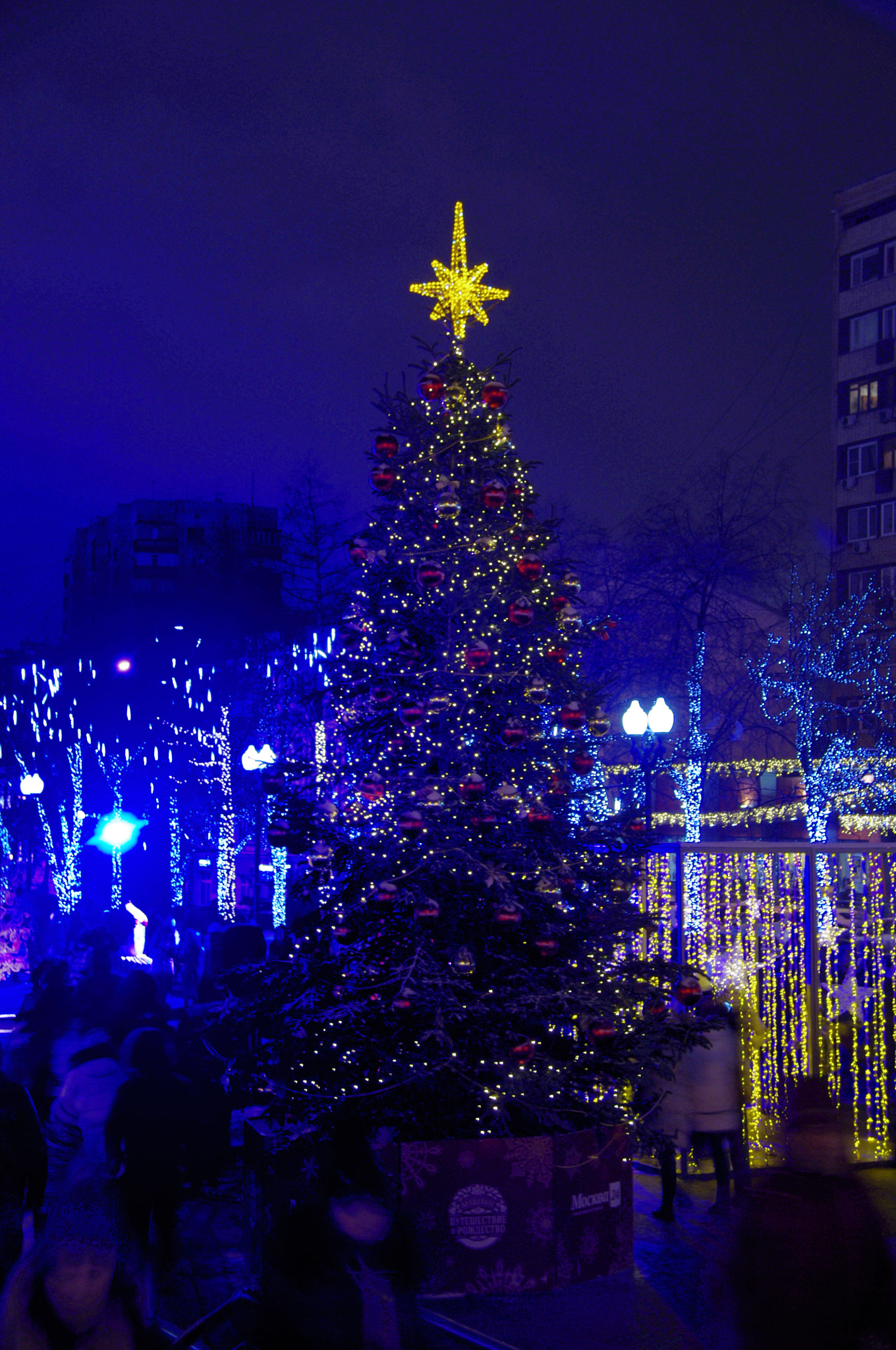 Pentax K-x sample photo. _igp7789.jpg photography