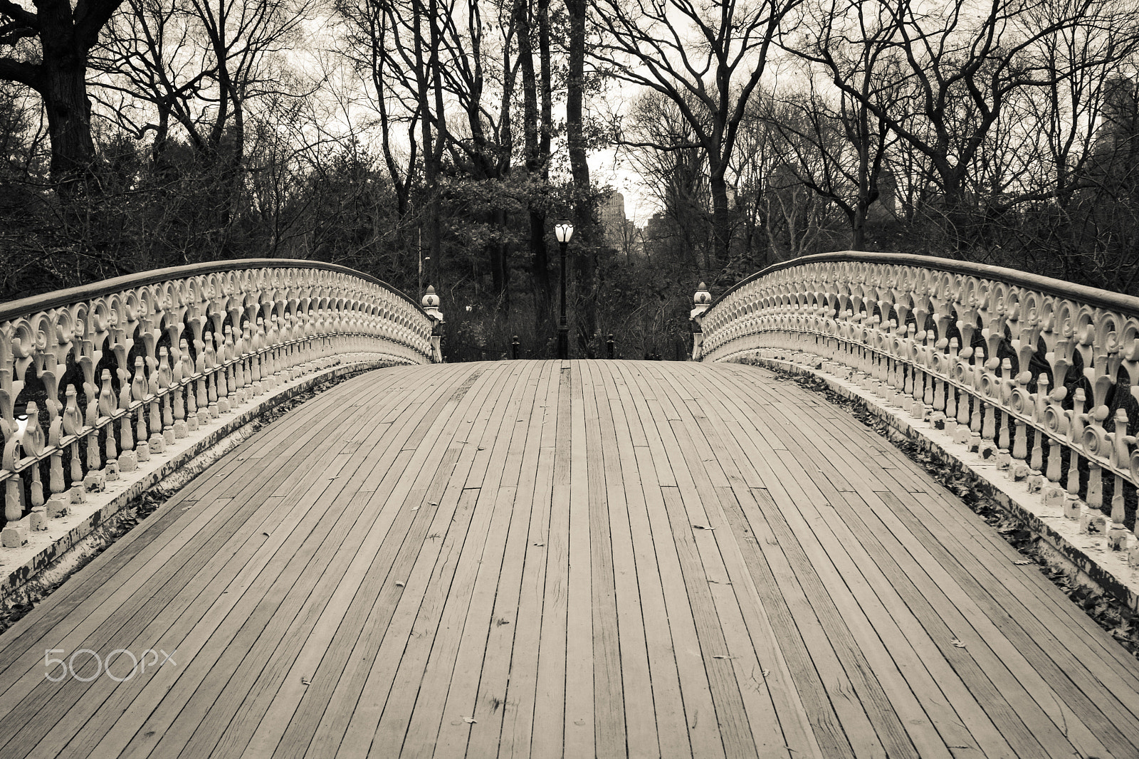 AF Zoom-Nikkor 28-85mm f/3.5-4.5 sample photo. Central park ii photography