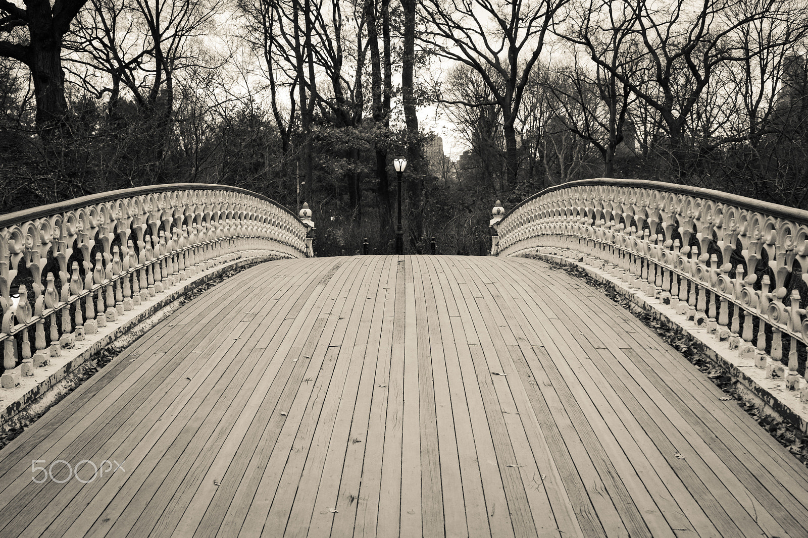 Nikon D7100 + AF Zoom-Nikkor 28-85mm f/3.5-4.5 sample photo. Central park ii photography