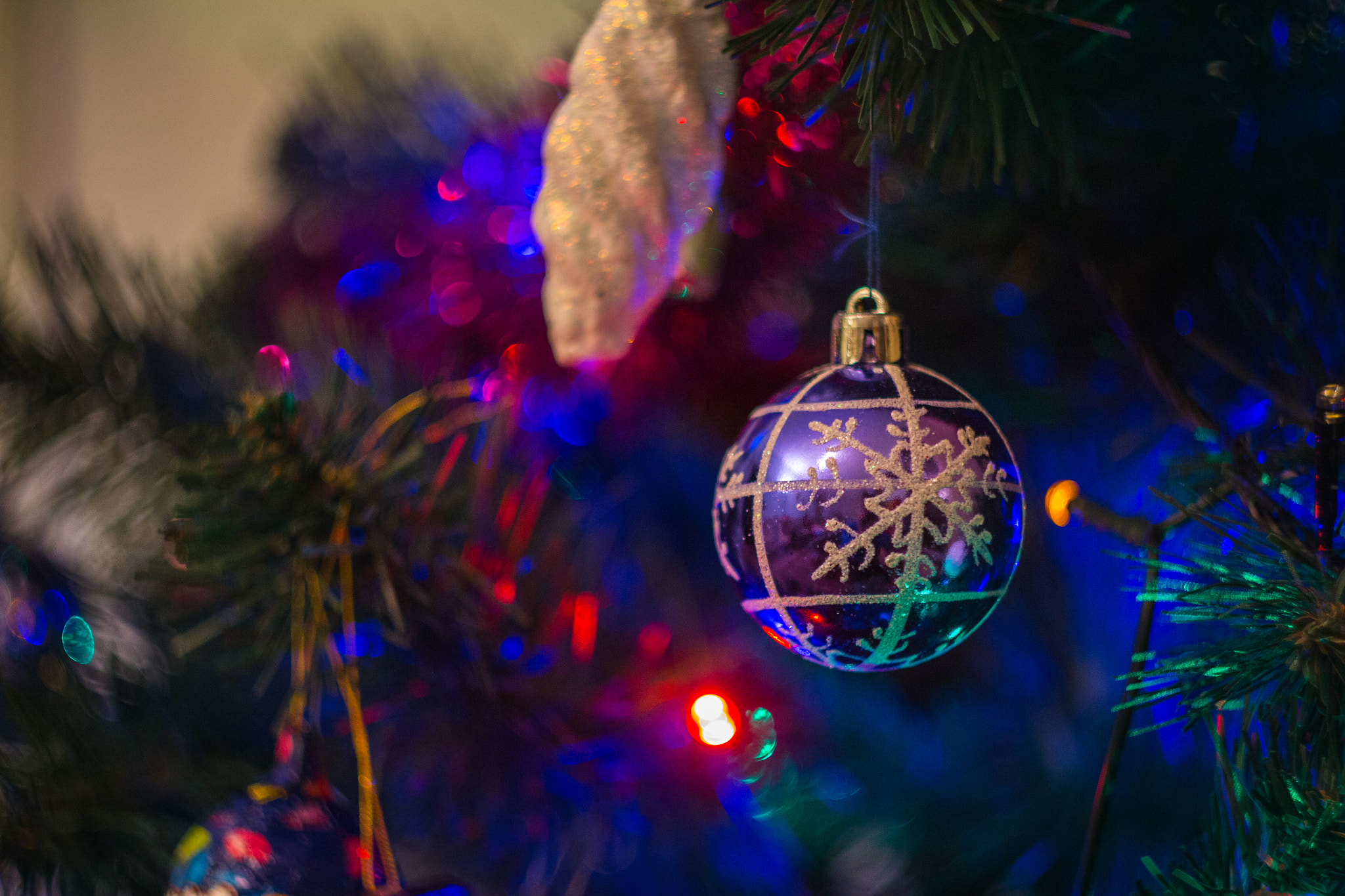 Canon EF 35-80mm f/4-5.6 sample photo. Happy new year!!!! photography