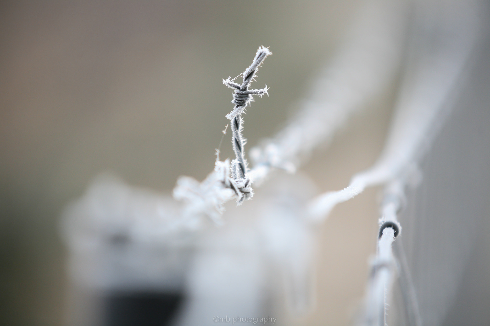Canon EOS 5D + Sigma 70-200mm F2.8 EX DG OS HSM sample photo. Cold wire photography