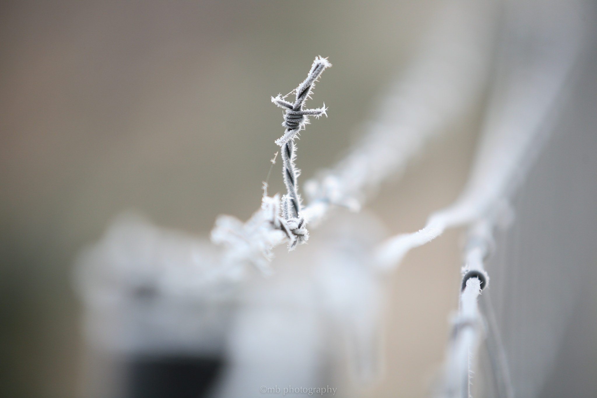 Sigma 70-200mm F2.8 EX DG OS HSM sample photo. Cold wire photography