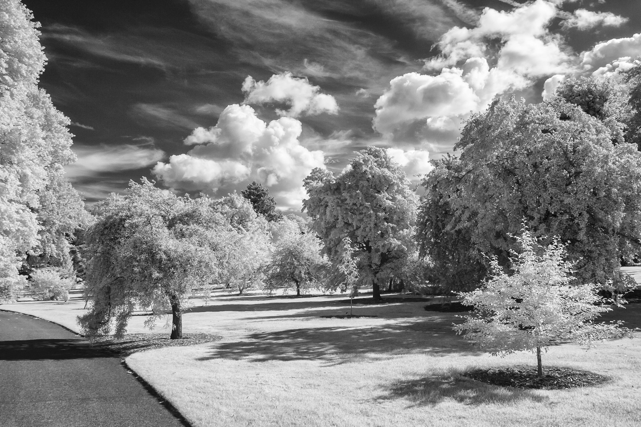Canon EOS-1D Mark II sample photo. Royal botanical gardens photography
