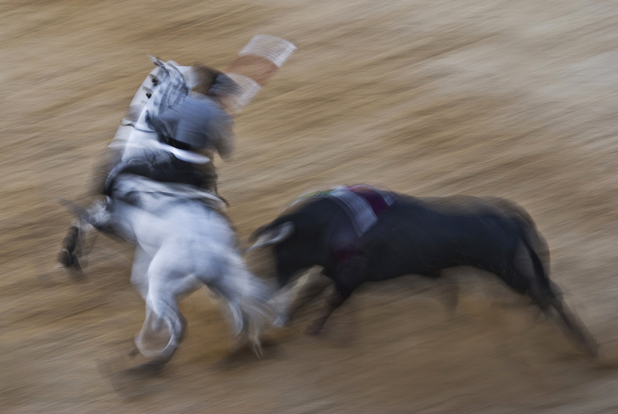 Sigma 150-500mm F5-6.3 DG OS HSM sample photo. Rejones photography