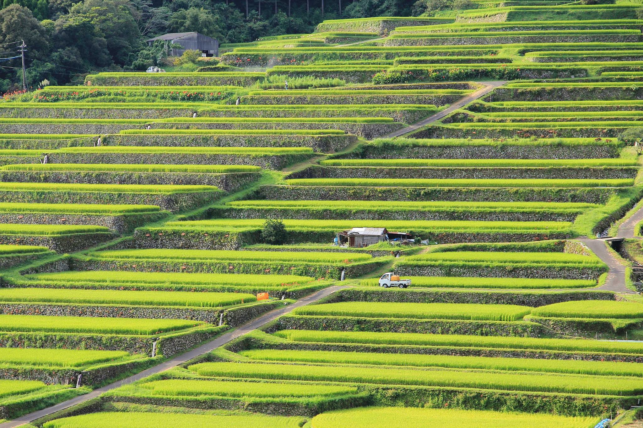 Terraced rice fields in Japan by Shota Shimizu Photo 13488521 / 500px