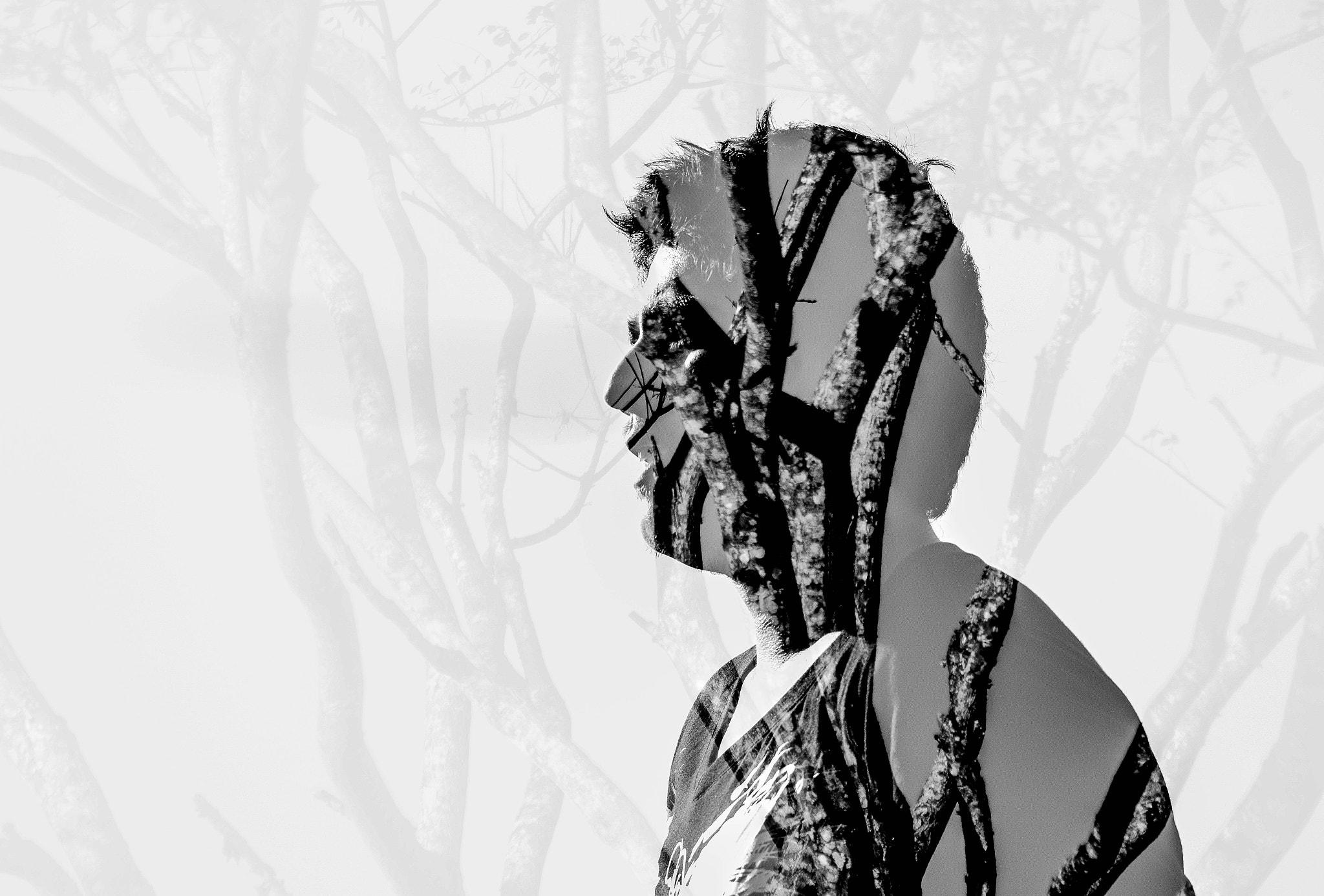 Nikon D5300 + Sigma 70-300mm F4-5.6 DG OS sample photo. Sombras del Árbol photography