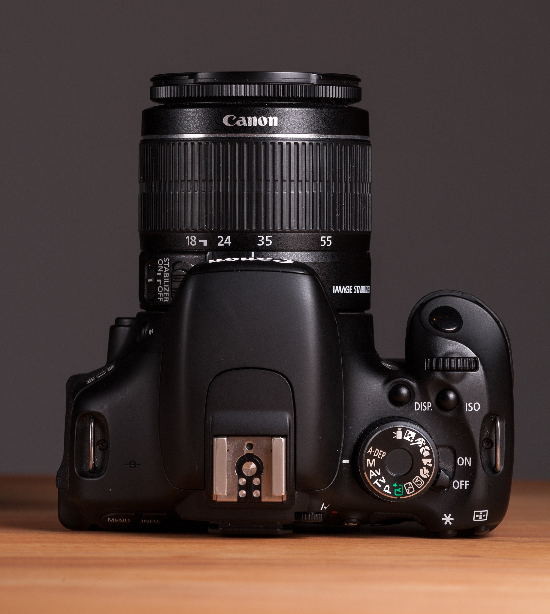 Canon EOS-1D Mark III sample photo. First camera photography
