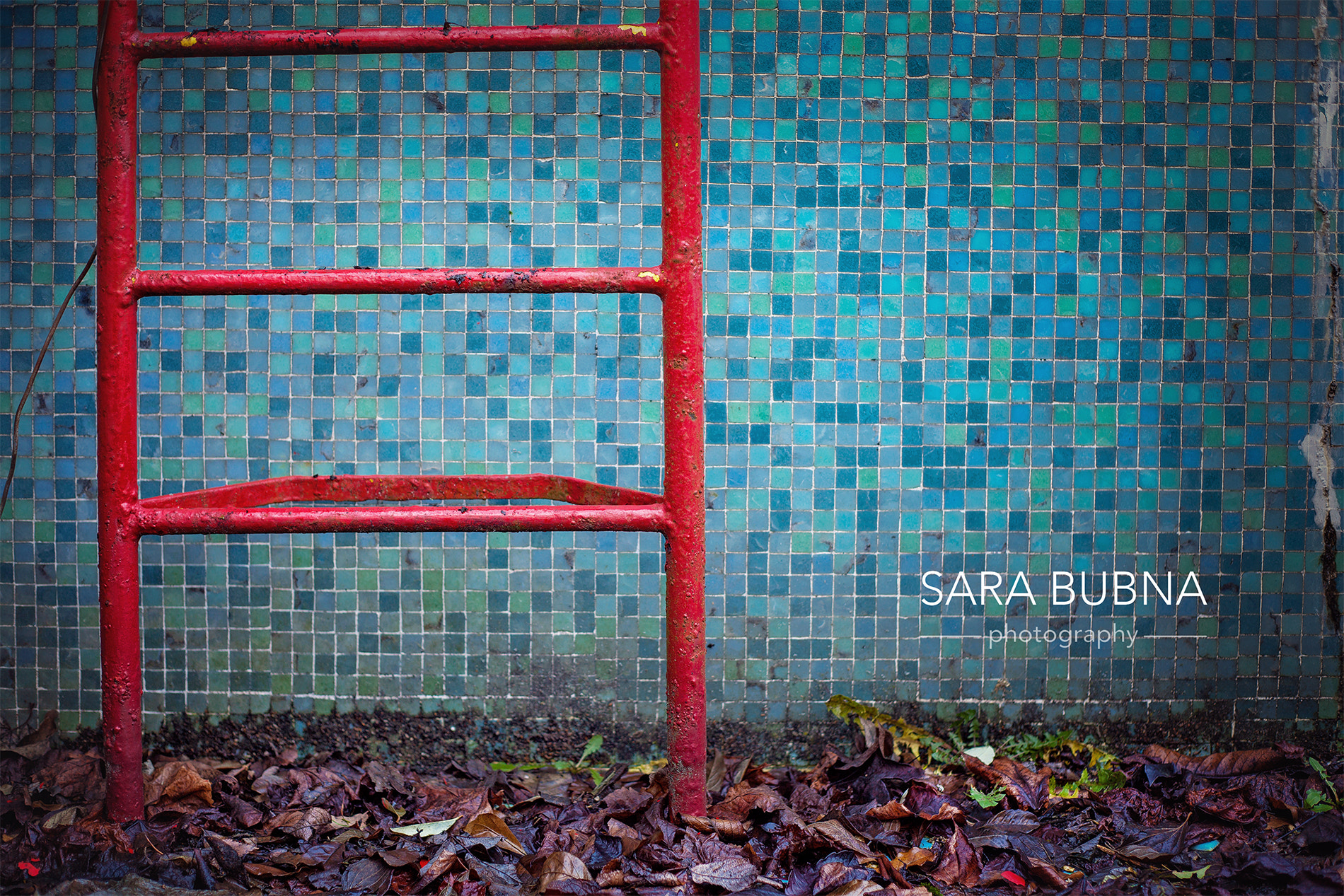 Canon EF 50mm f/1.8 sample photo. Pool ii photography