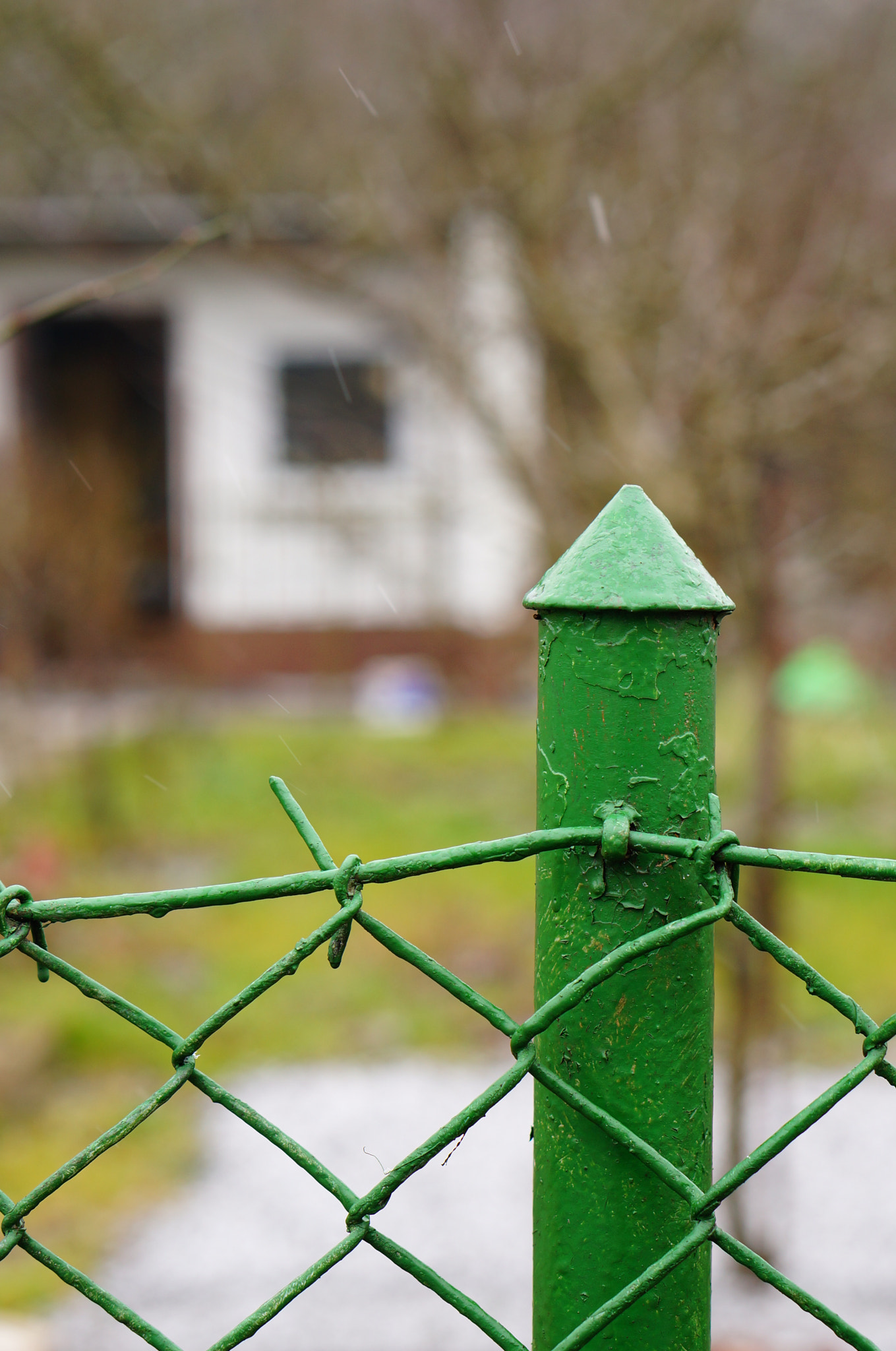 Sony E 50mm F1.8 OSS sample photo. Grid fence photography