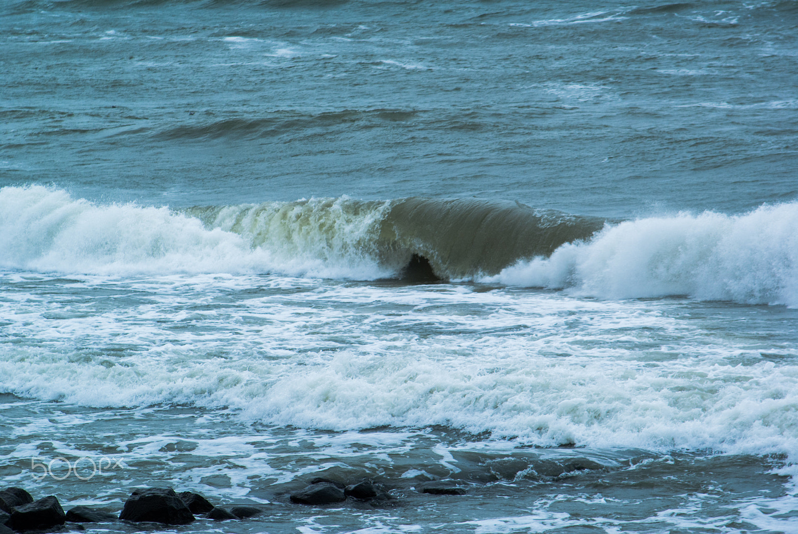 Sony Alpha DSLR-A200 + Minolta AF 50mm F1.7 sample photo. Like a whale photography