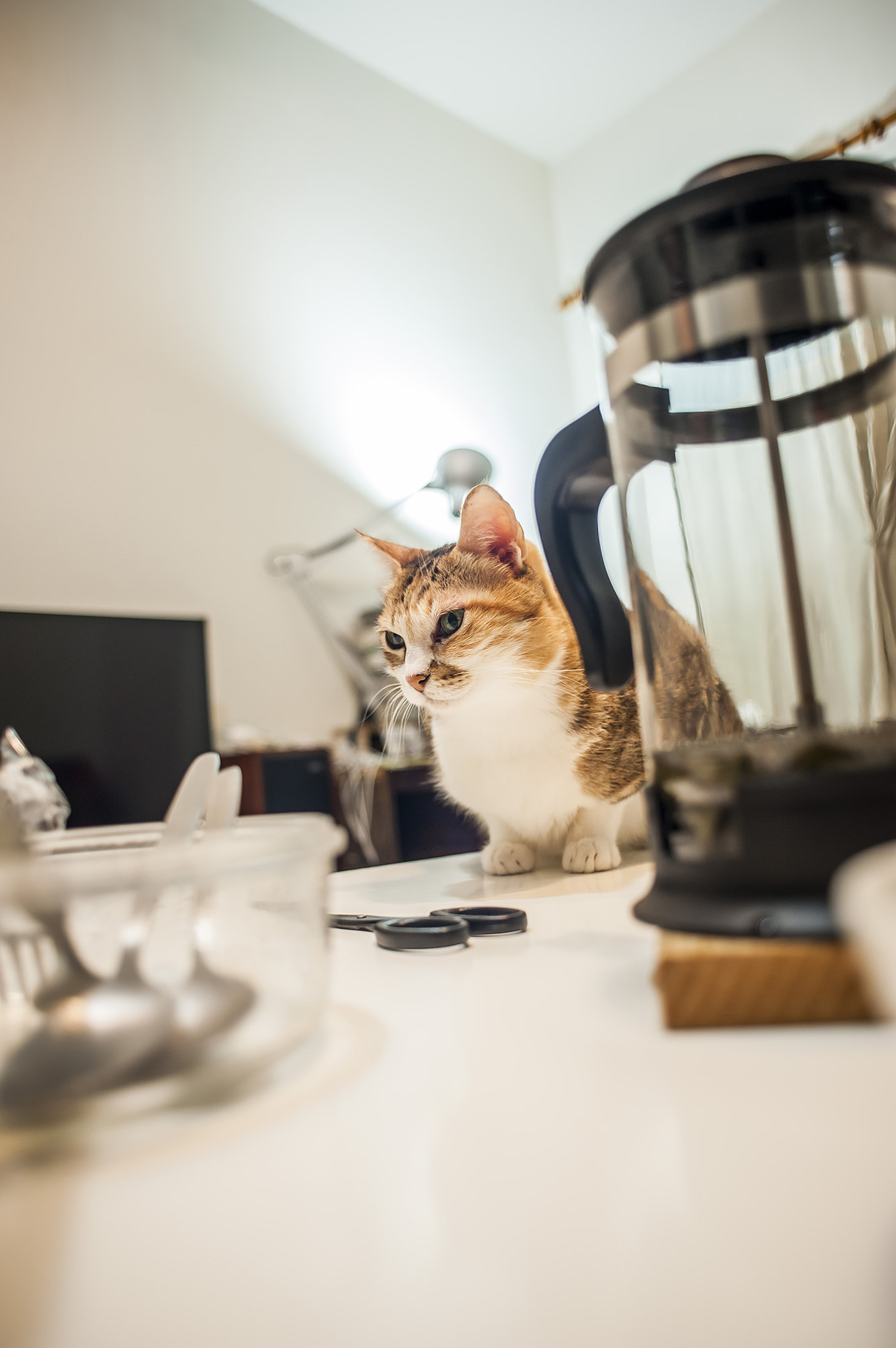 AF Nikkor 24mm f/2.8 sample photo. 160106-0.jpg photography