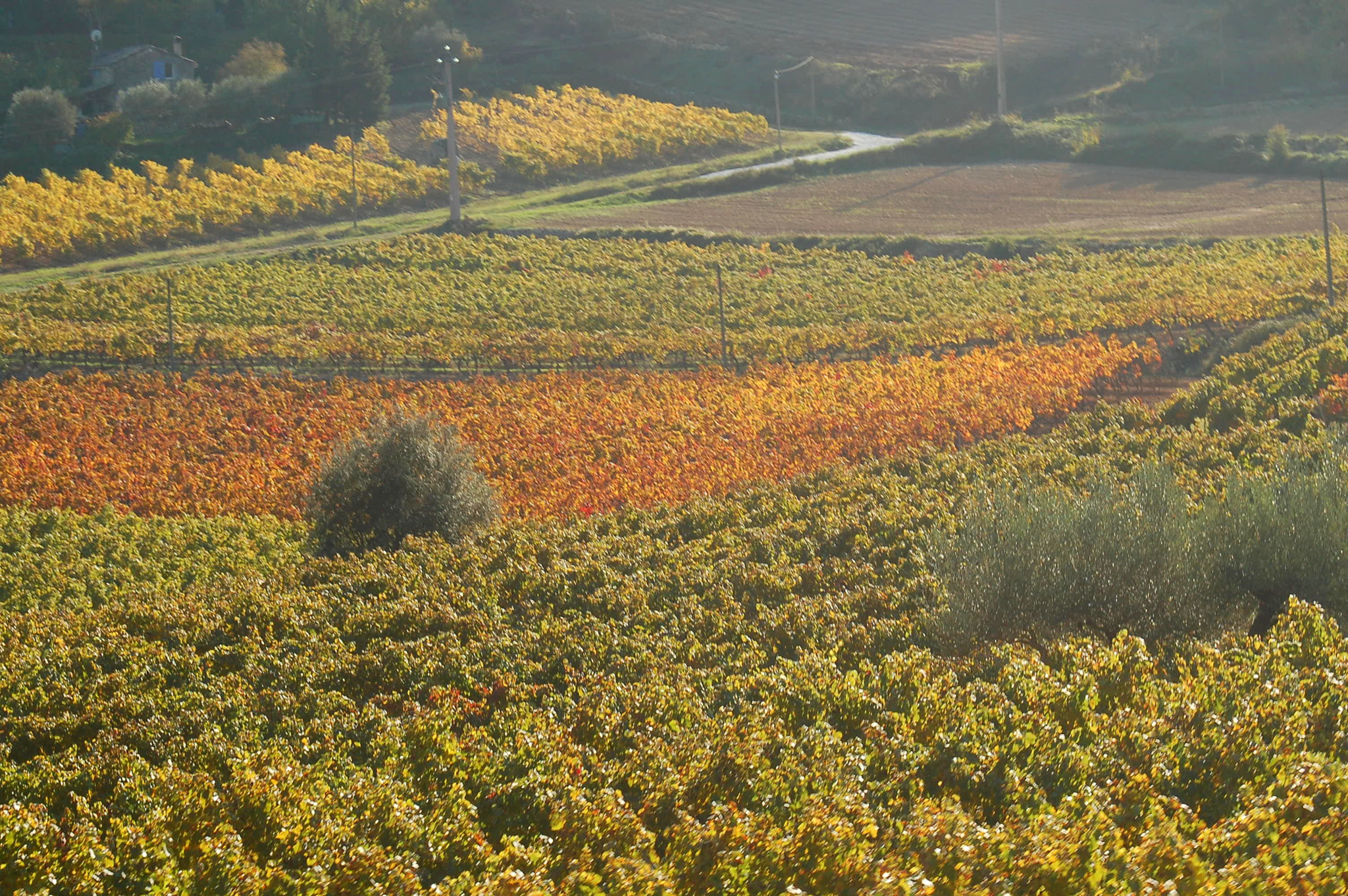 AF Zoom-Nikkor 28-80mm f/3.3-5.6G sample photo. Couleurs d'automne photography