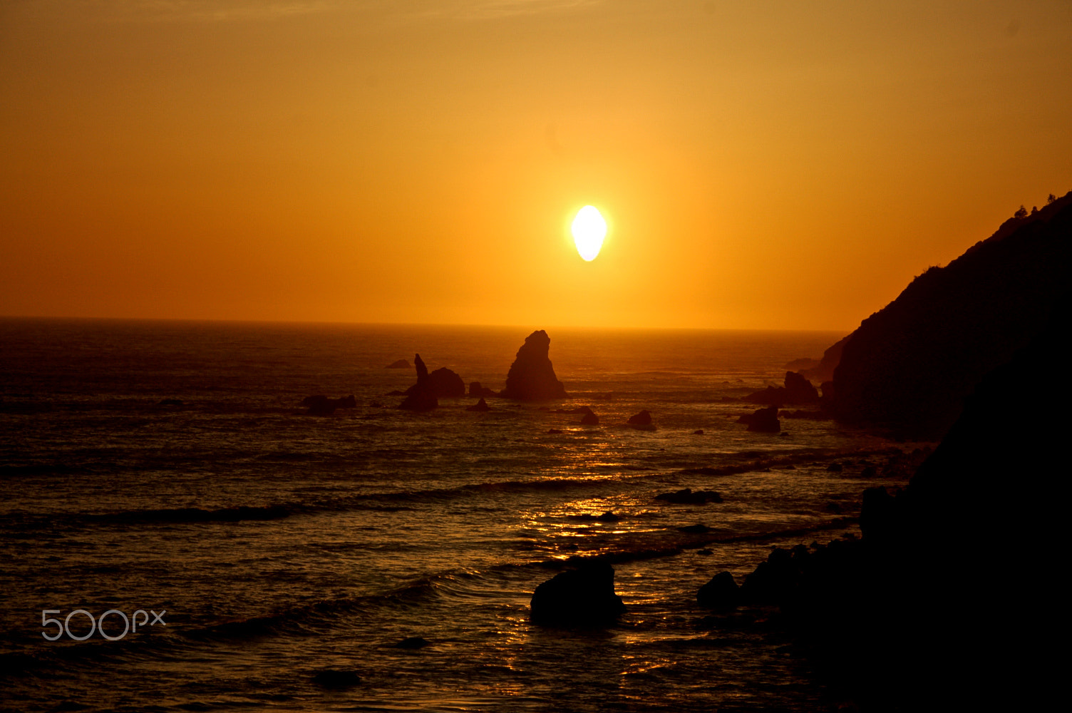 Nikon D50 sample photo. Mendocino photography
