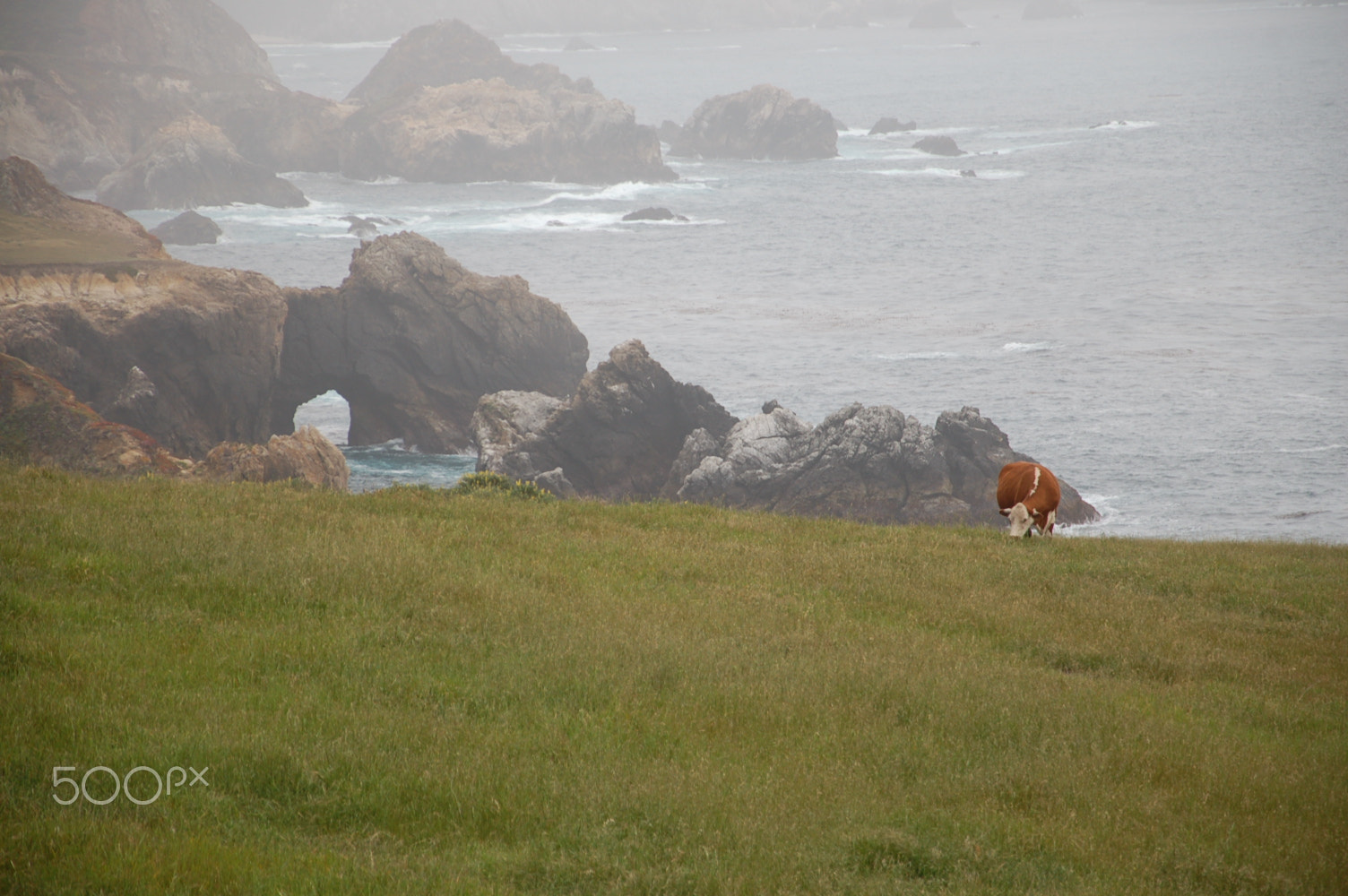 Nikon D50 sample photo. Pacific coast photography