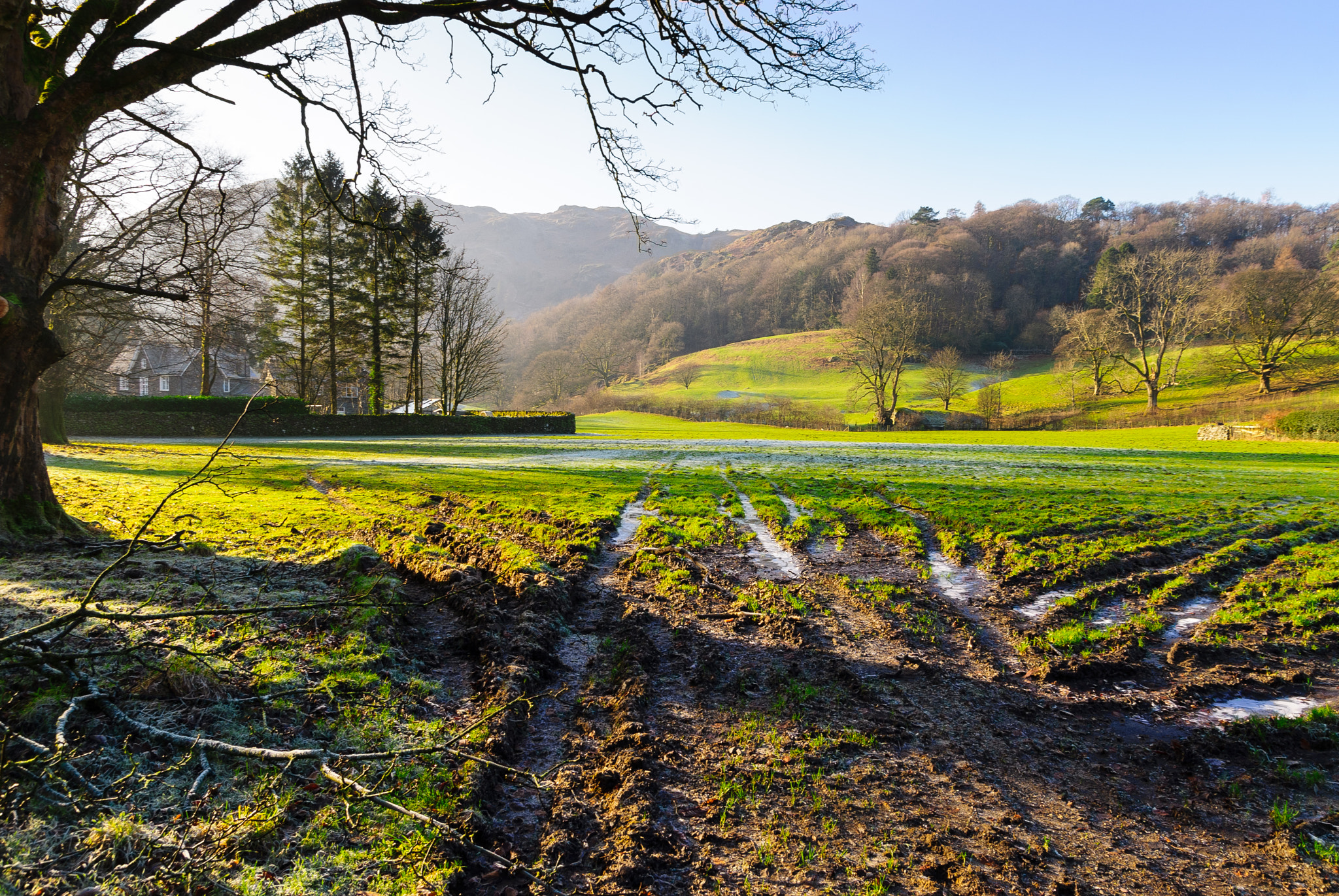 Sony Alpha DSLR-A300 sample photo. Muddy tracks photography
