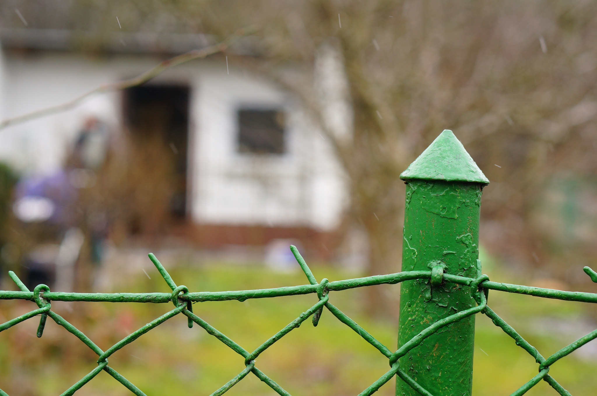 Sony Alpha NEX-6 + Sony E 50mm F1.8 OSS sample photo. Grid fence photography