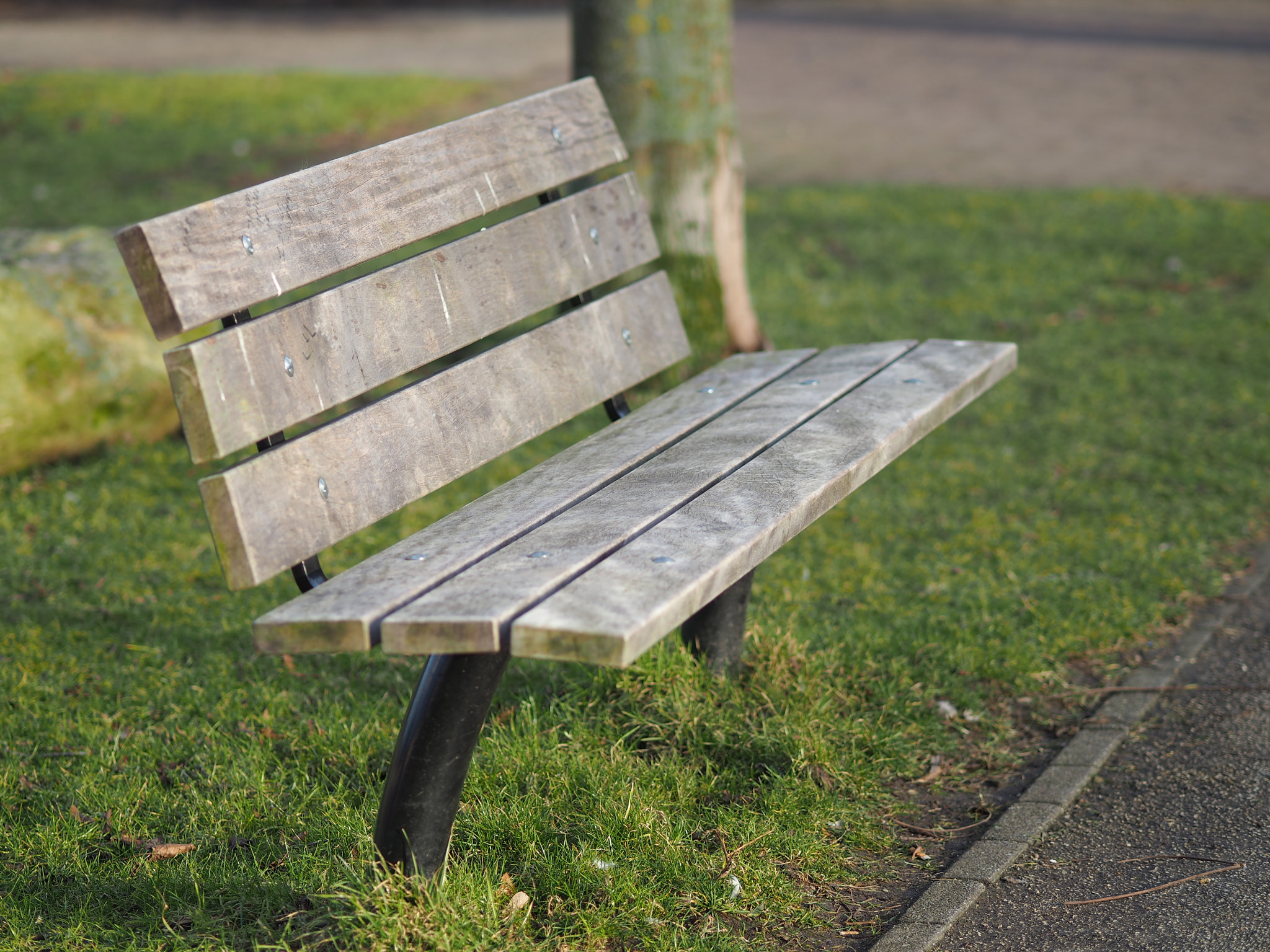 Olympus OM-D E-M10 + Olympus M.Zuiko Digital ED 75mm F1.8 sample photo. Wooden bench photography