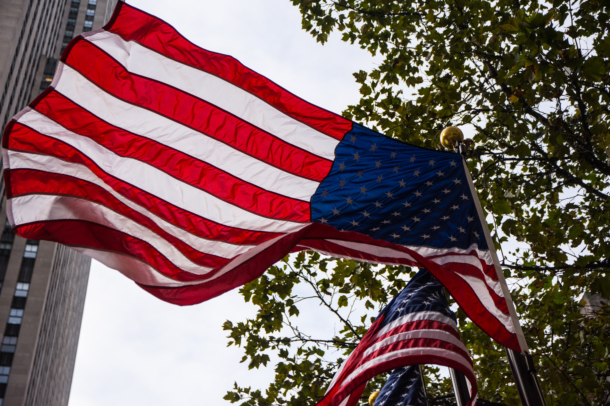 Sigma 17-70mm F2.8-4 DC Macro OS HSM | C sample photo. Murica photography