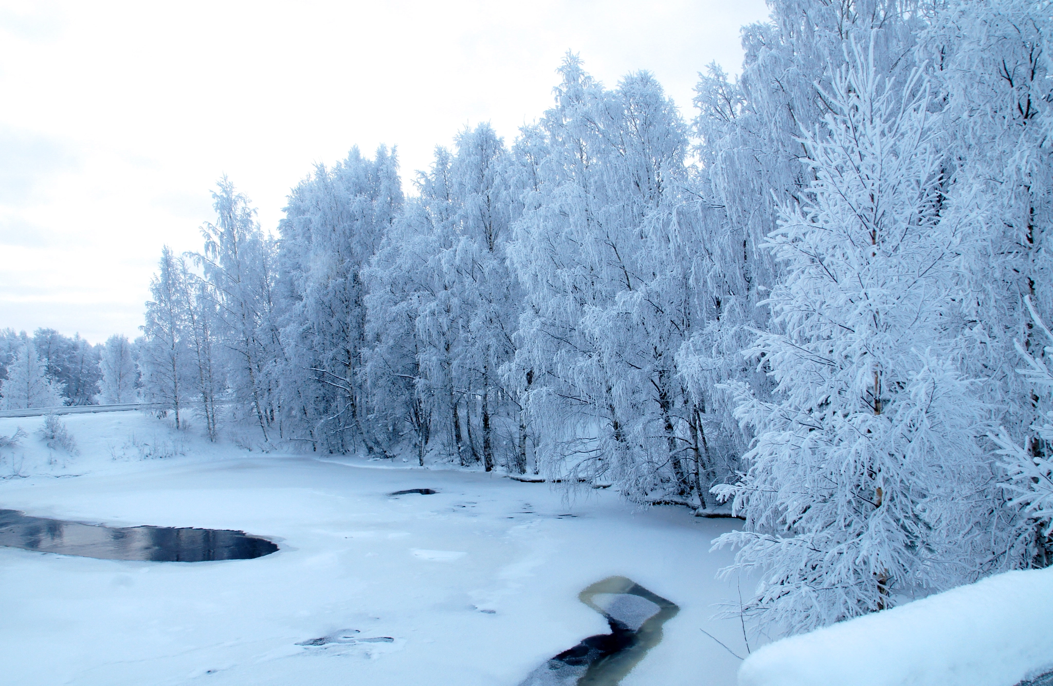 Sony SLT-A35 + Sony DT 16-50mm F2.8 SSM sample photo. Snow day in rovaniemi photography