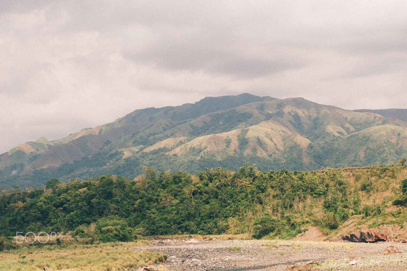 Canon EOS 30D + Canon EF 50mm F1.4 USM sample photo. Mindoro photography