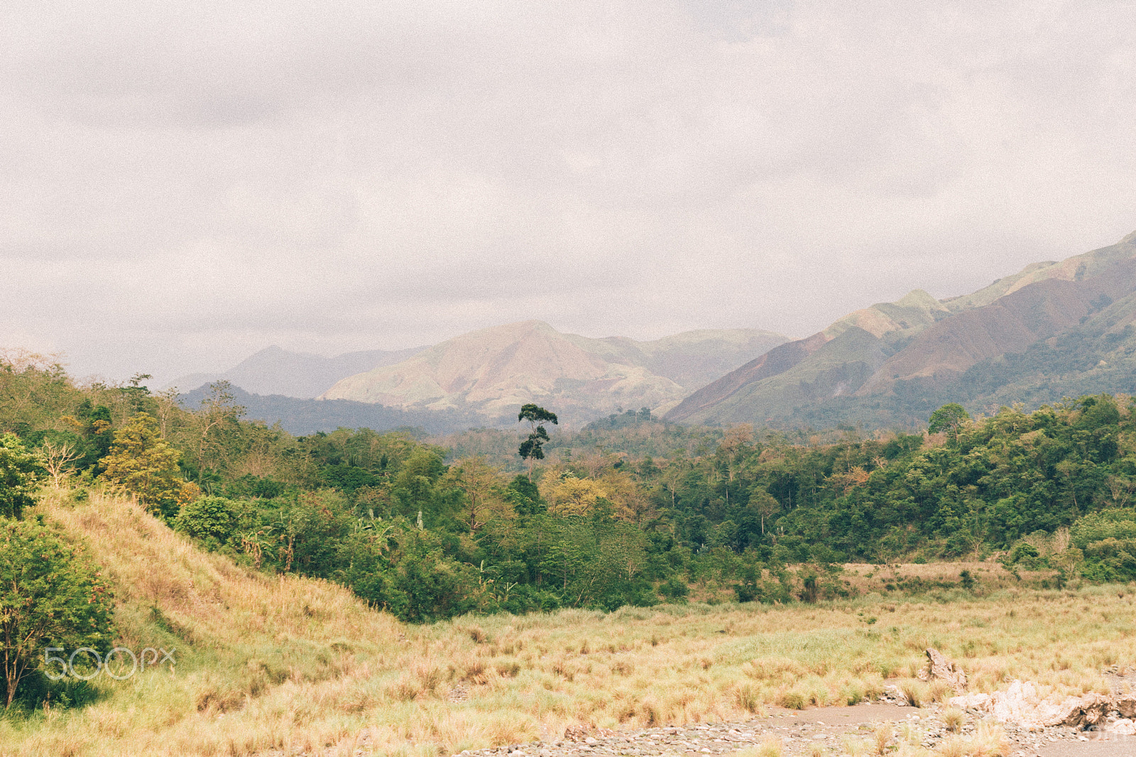 Canon EOS 30D + Canon EF 50mm F1.4 USM sample photo. Mindoro photography