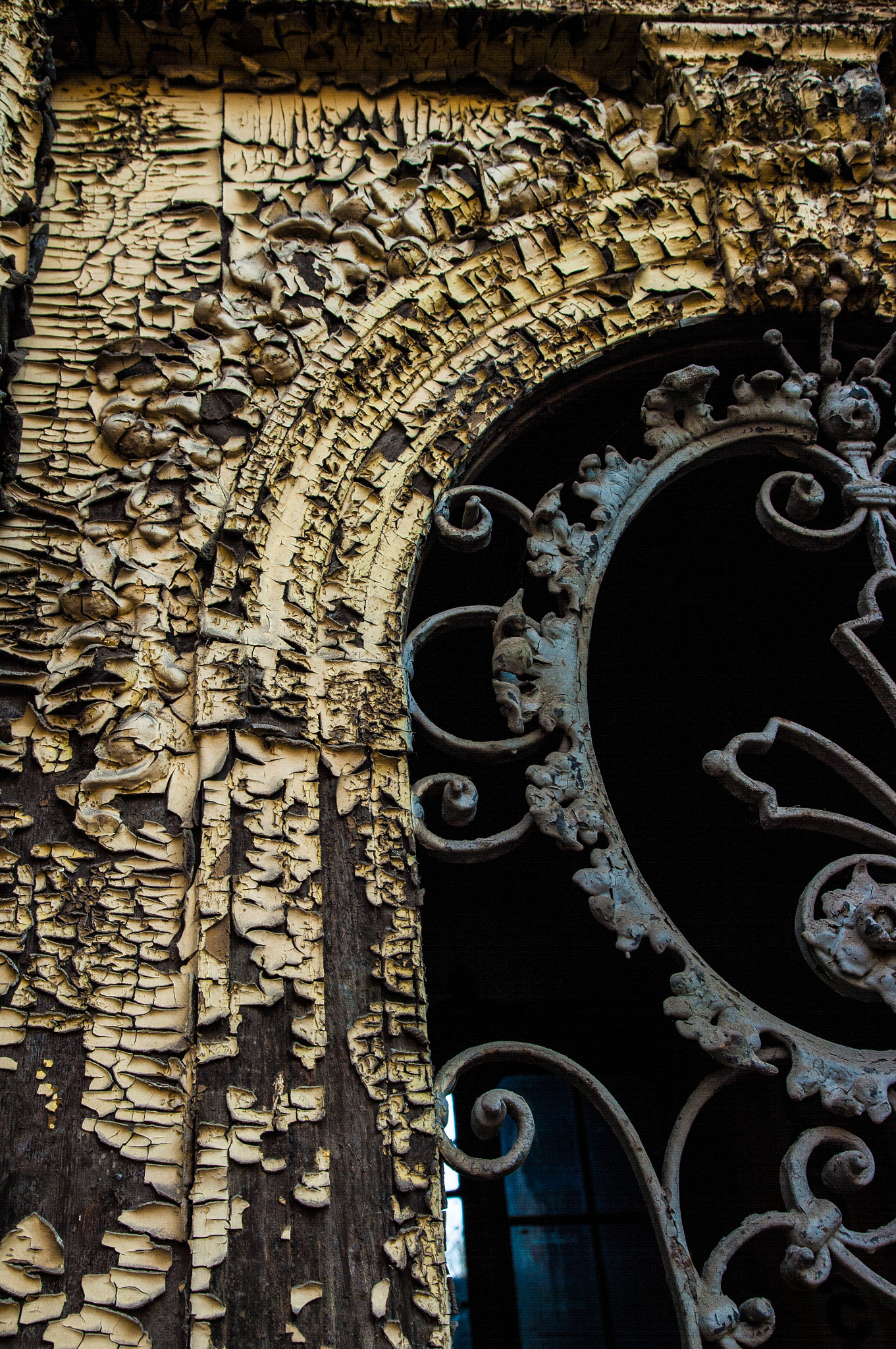 Pentax K20D sample photo. Detail photography