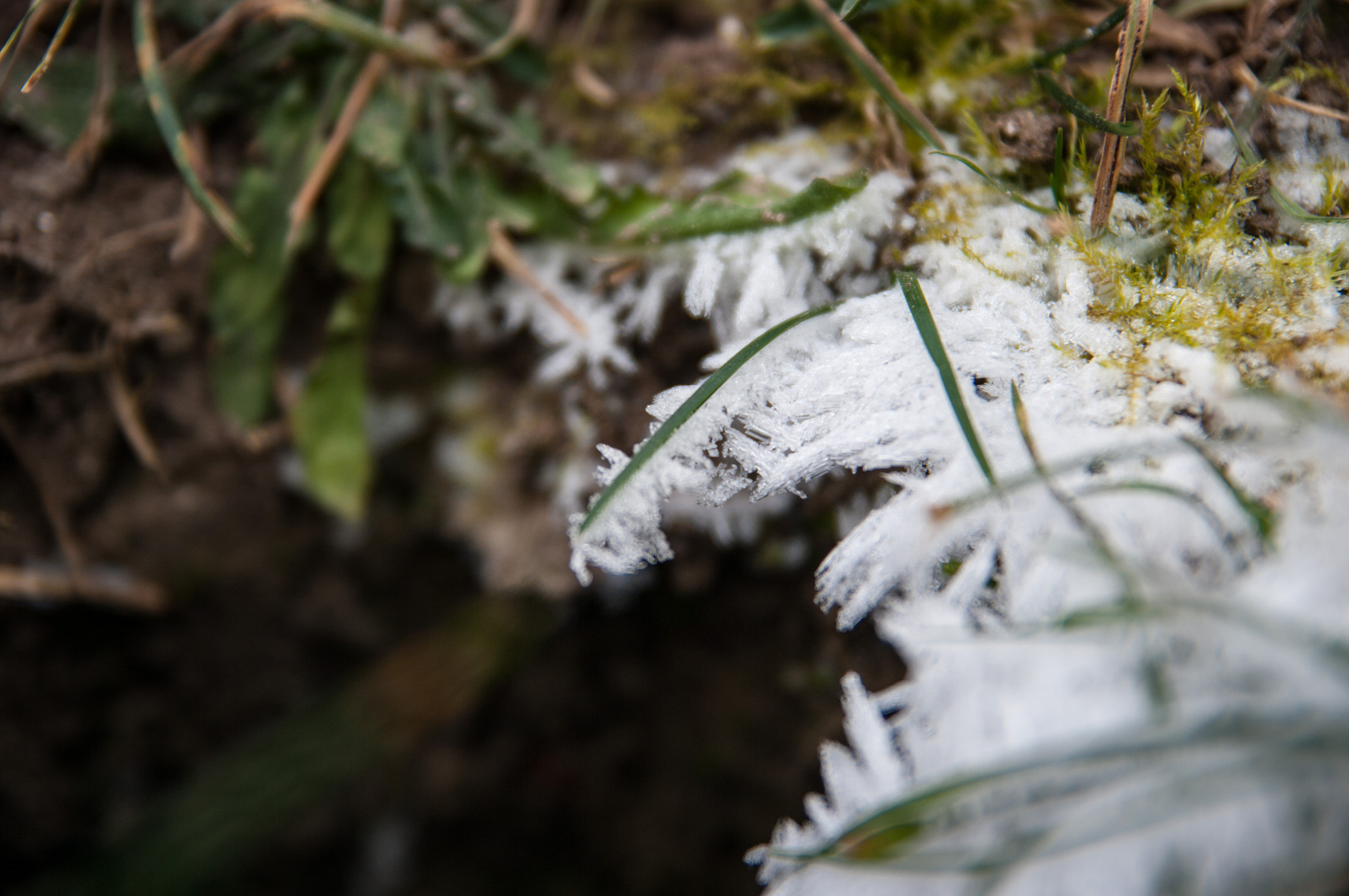 Pentax K20D sample photo. Minus 13 degrees photography
