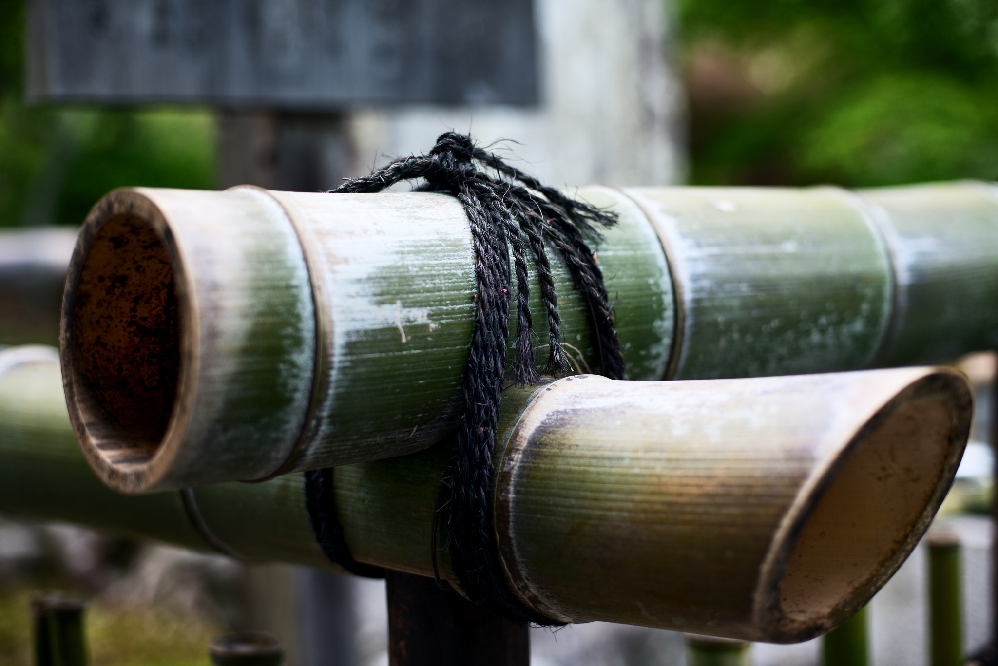 Nikon D800E + Nikon AF Nikkor 50mm F1.4D sample photo. Zen garden photography