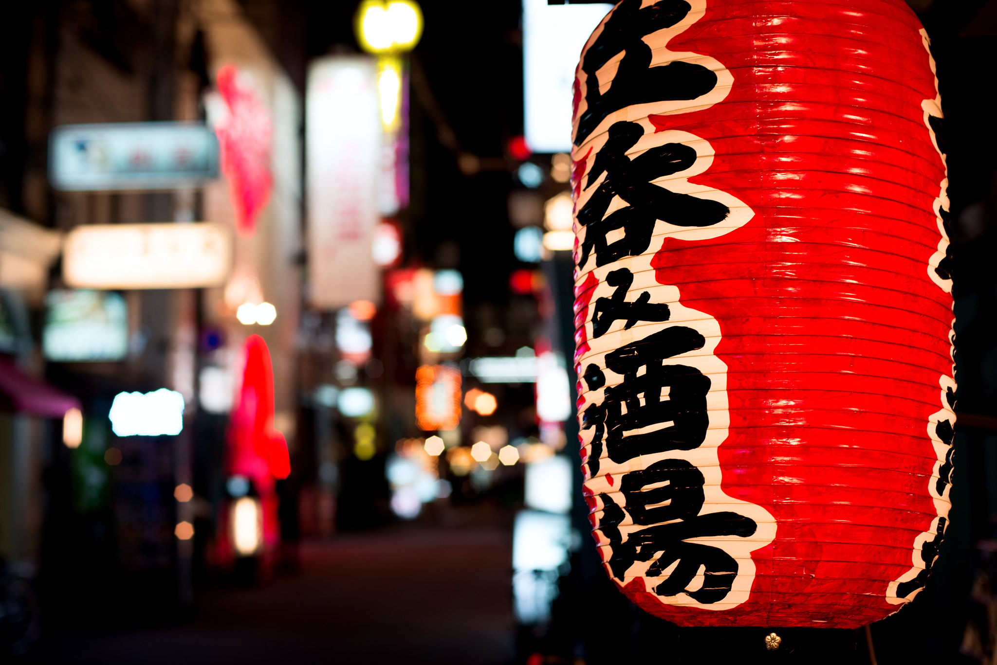 Nikon D800E + Nikon AF Nikkor 50mm F1.4D sample photo. Tokyo alley photography