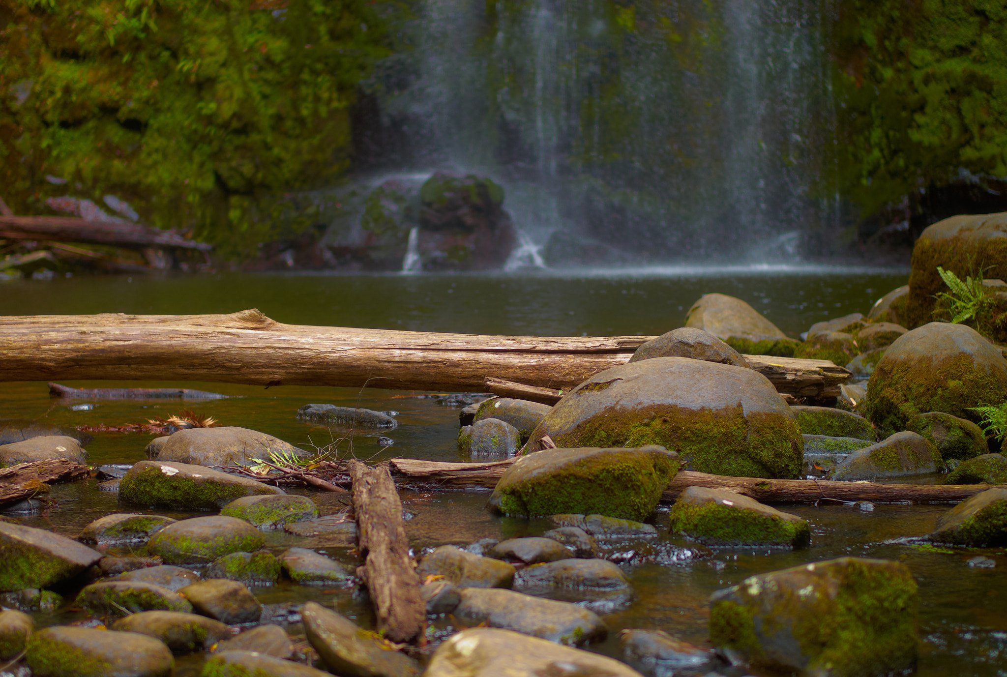 Leica M8 sample photo. Otway #3 photography
