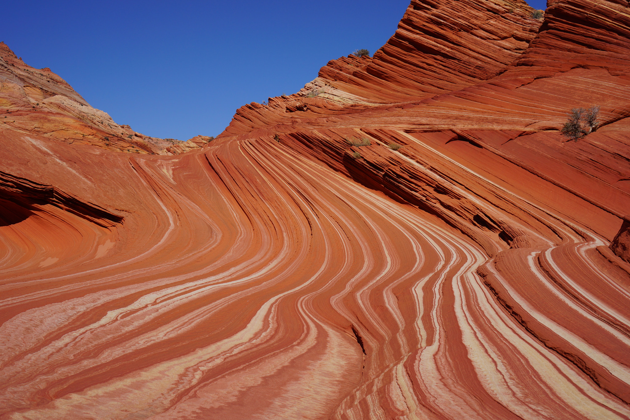 Sony Alpha NEX-7 + Sony E 35mm F1.8 OSS sample photo. The sand cove - vermilion cliffs natl. monument photography