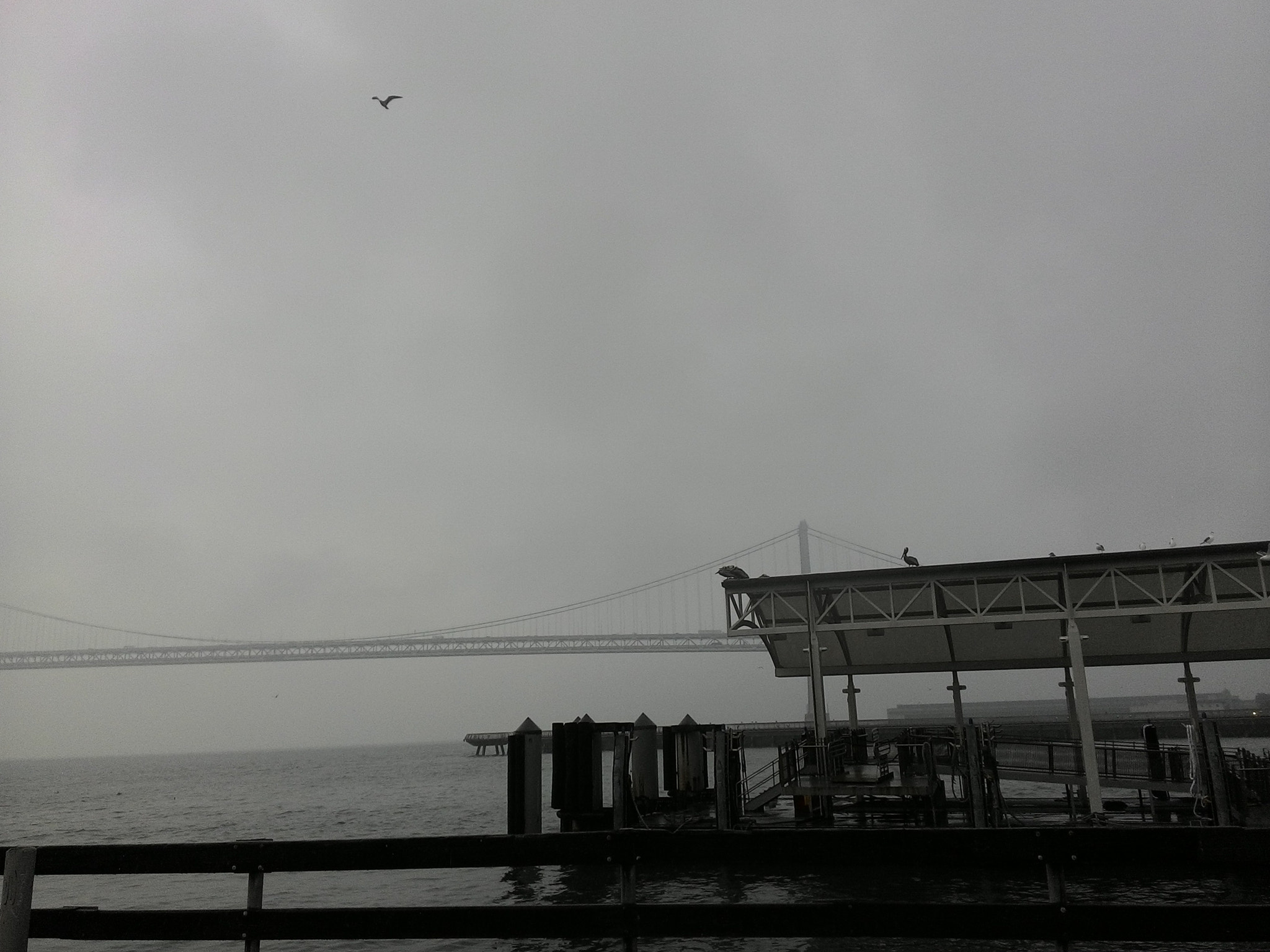ASUS ZenFone 2 (ZE500CL) sample photo. The gloomy bay photography