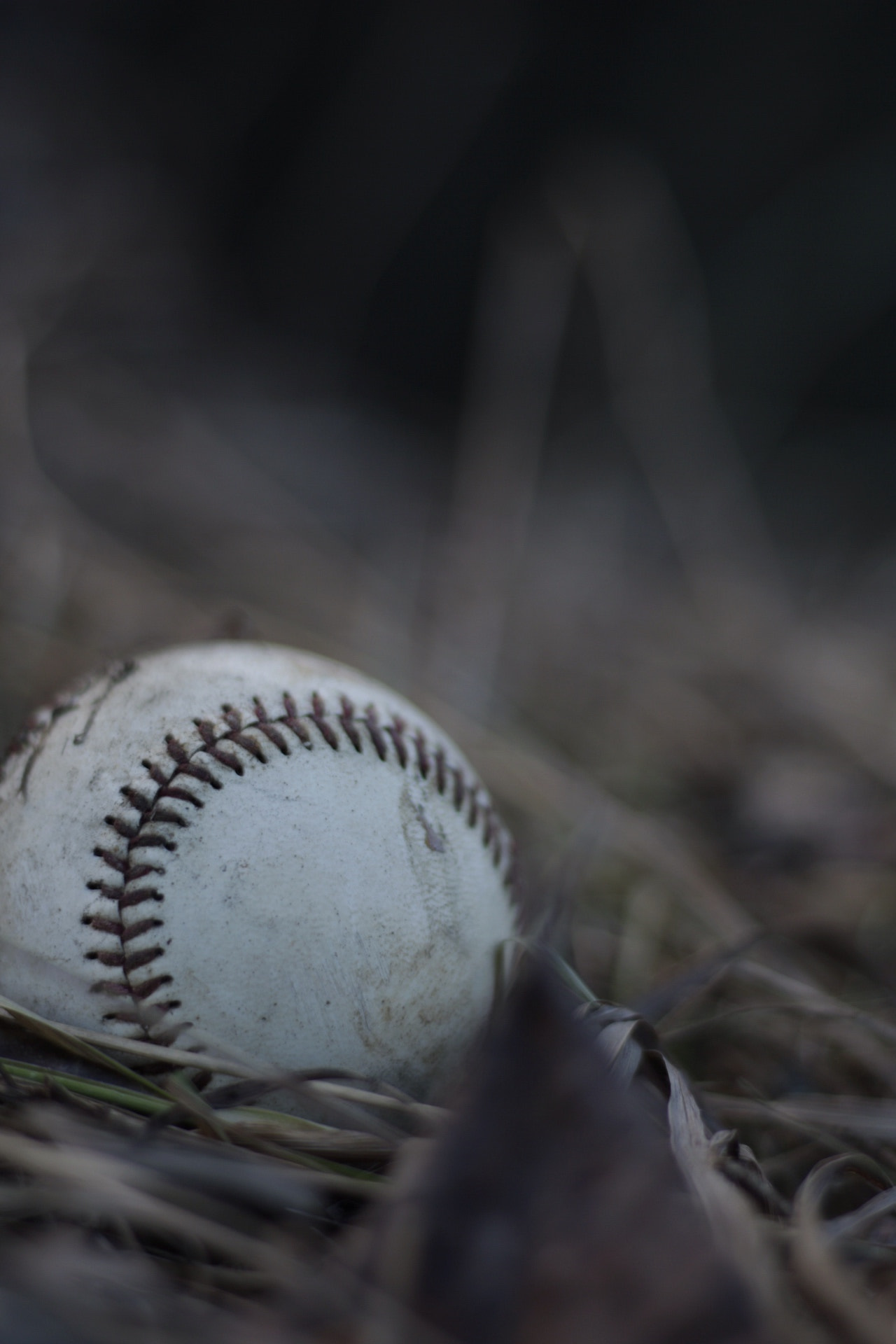 Canon EF 50mm F1.8 STM sample photo. The frozen ball photography