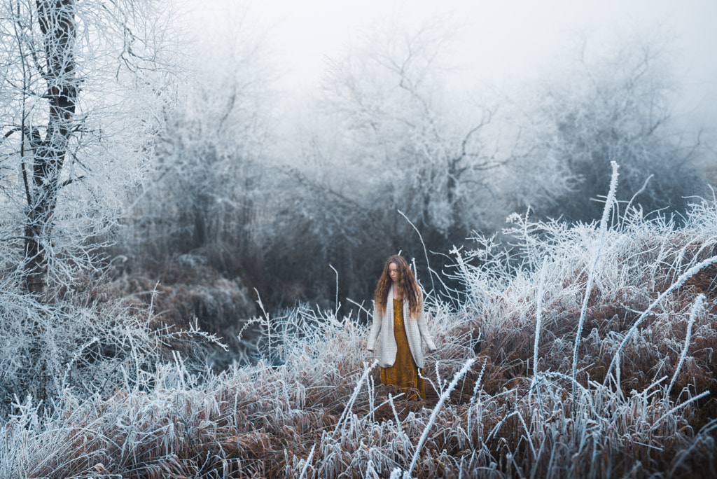 Winter's Frost by Lizzy Gadd on 500px.com