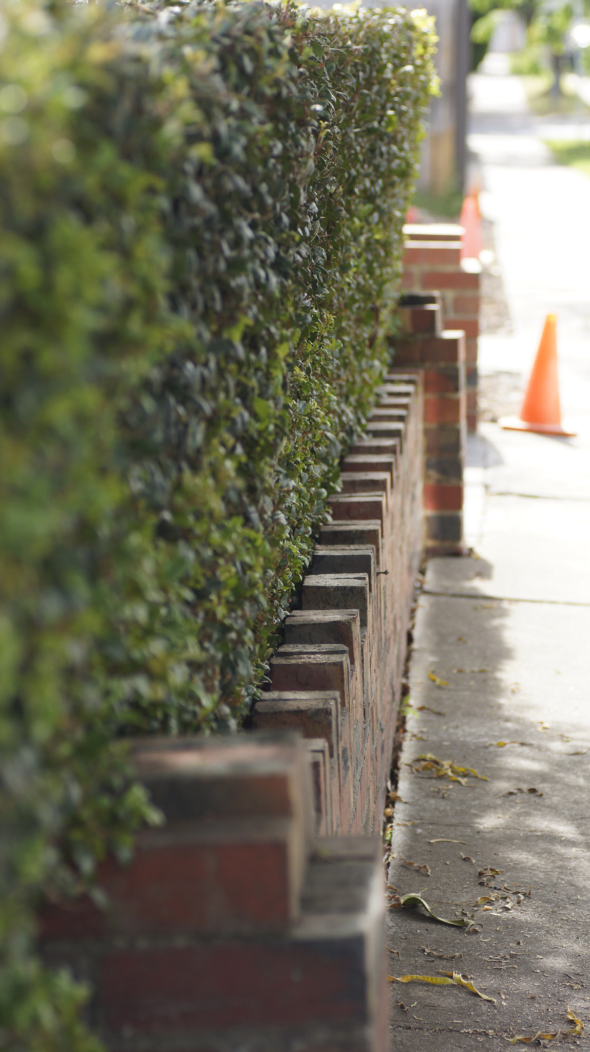 Sony SLT-A65 (SLT-A65V) + Tamron SP AF 90mm F2.8 Di Macro sample photo. Brick fence photography