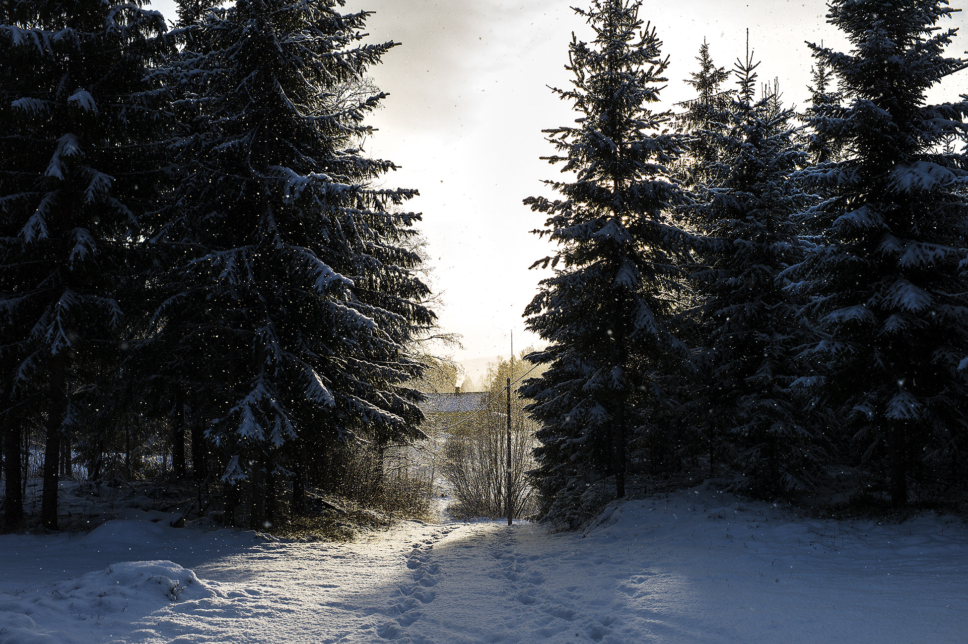 Leica M9 + Noctilux-M 50mm f/1 sample photo. Snow and sun photography