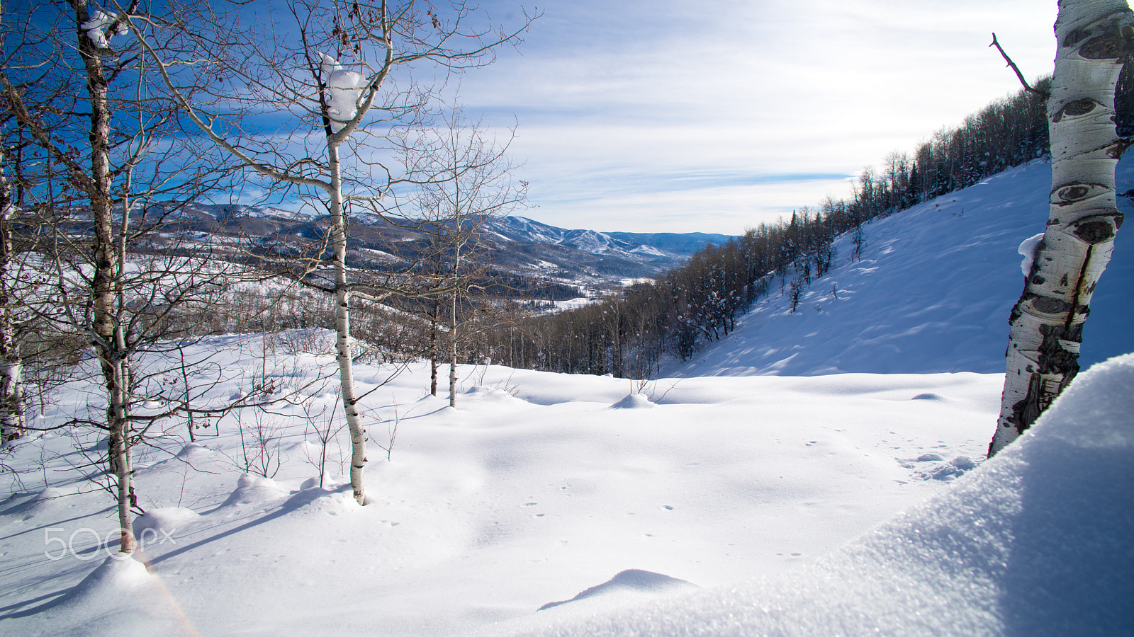 Sony a99 II + Tokina AT-X 17 AF 17mm F3.5 sample photo. Steamboat photography