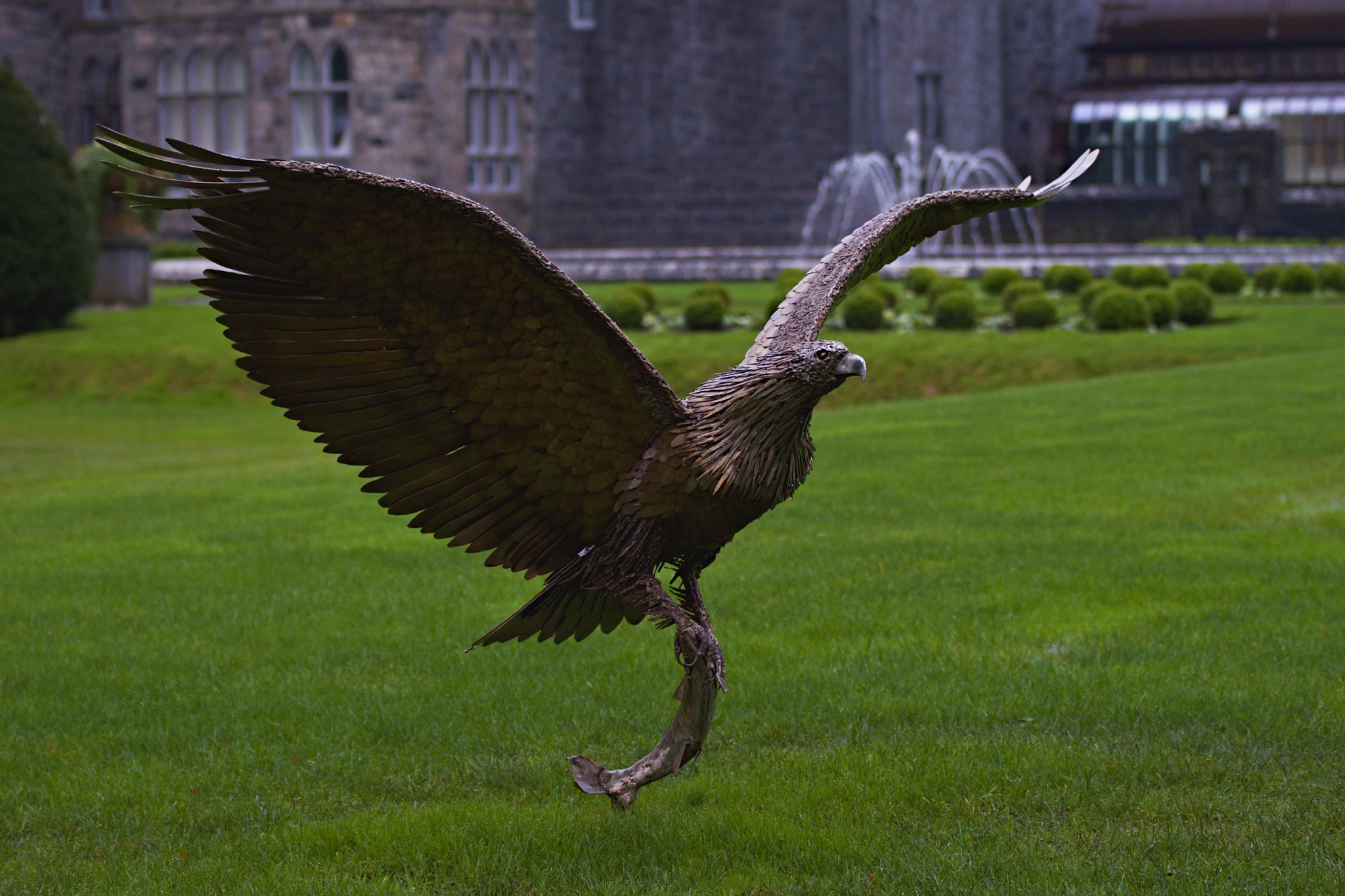 70.00 - 300.00 mm f/4.0 - 5.6 sample photo. Ashford park photography