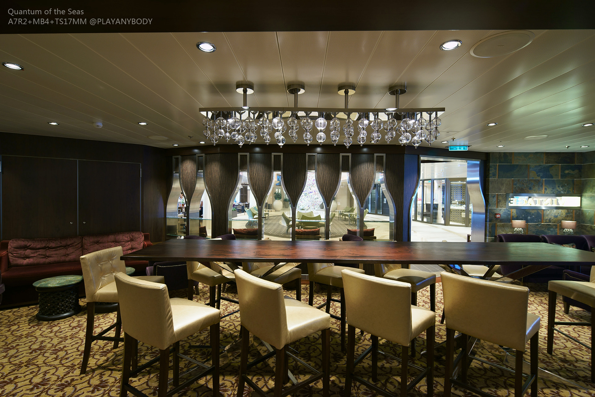 17mm F4 G sample photo. Quantum of the seas photography