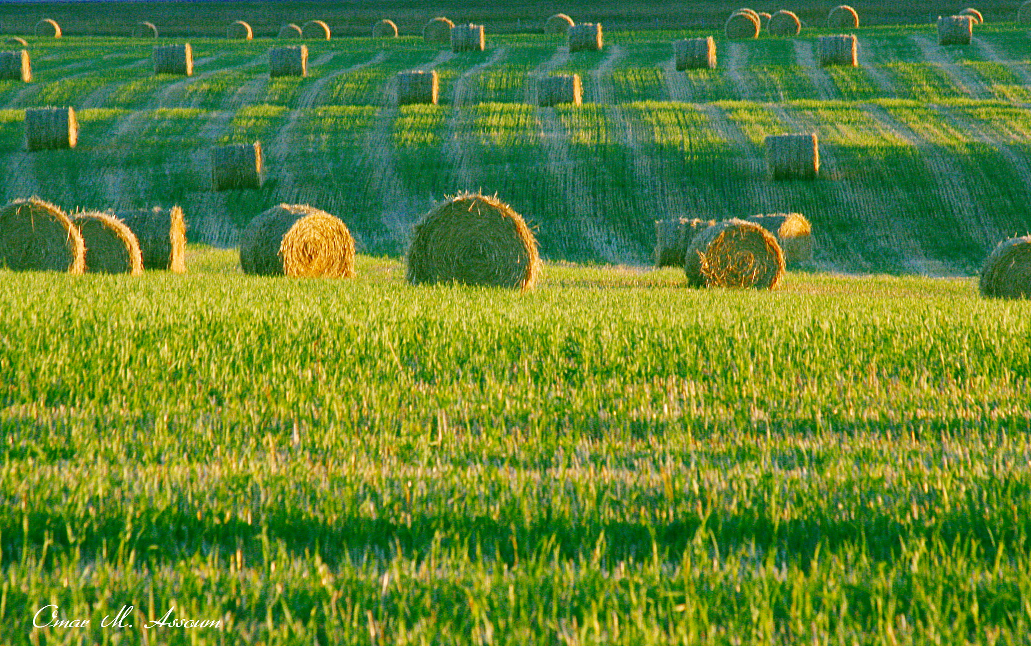 Canon EF 75-300mm F4.0-5.6 IS USM sample photo. Field and hay bales photography
