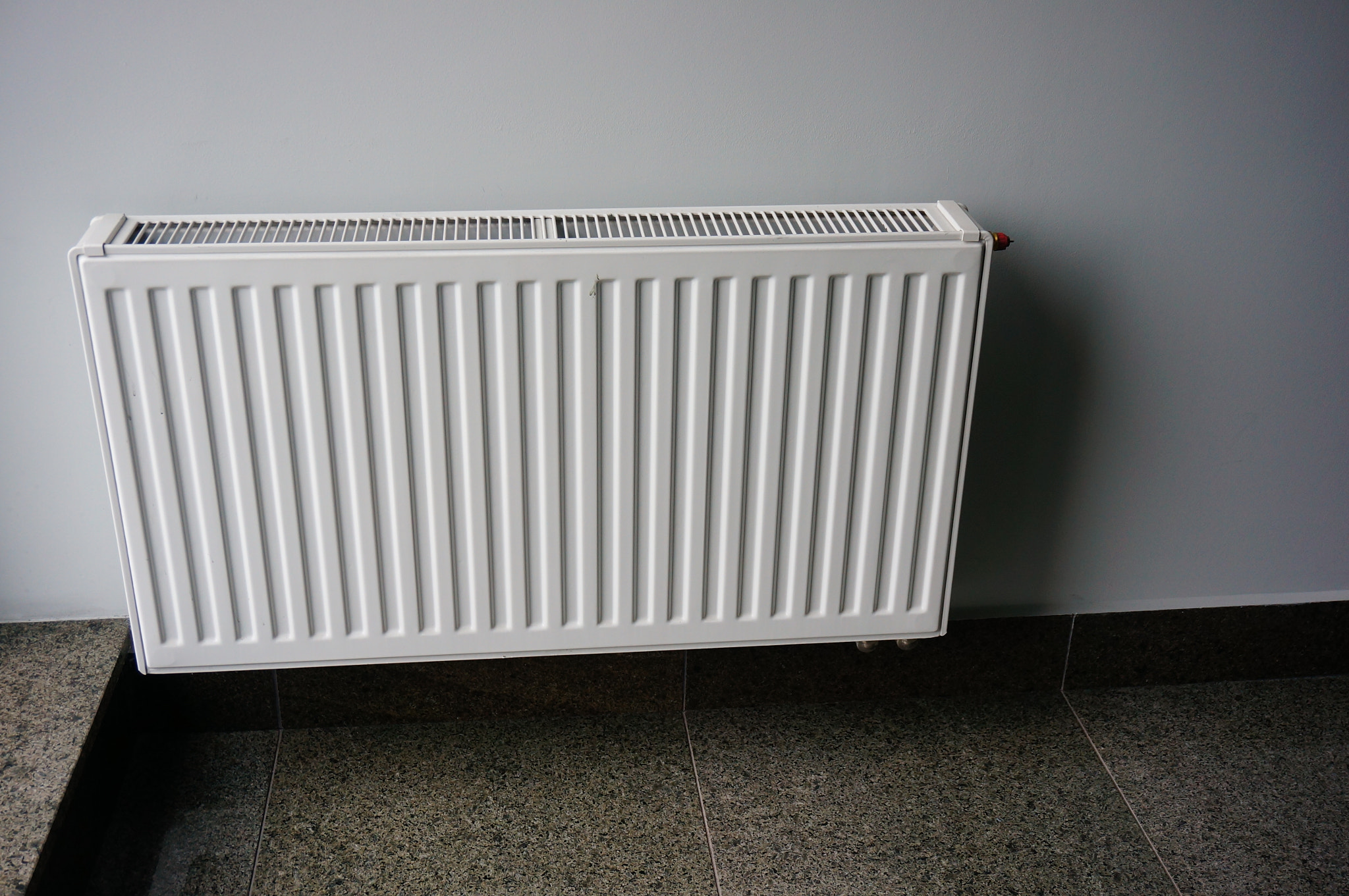 Sony E 16-50mm F3.5-5.6 PZ OSS sample photo. White radiator photography