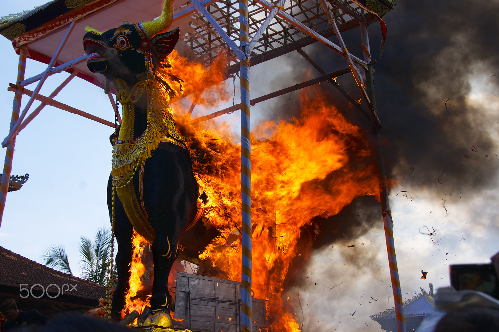 Sony Alpha DSLR-A580 sample photo. Royal cremation photography