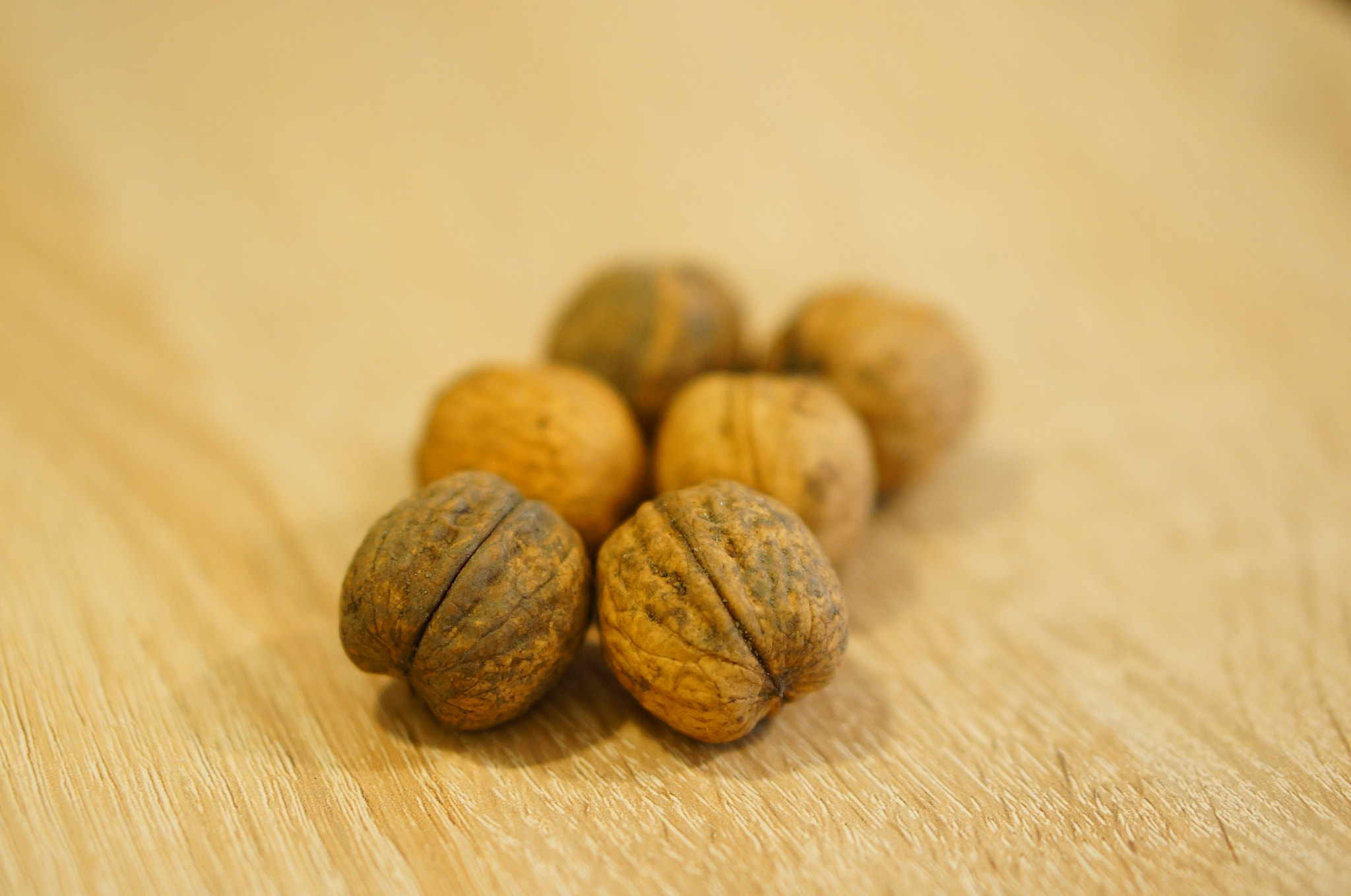 Sony Alpha NEX-5N + Sony E 50mm F1.8 OSS sample photo. Fresh walnuts photography