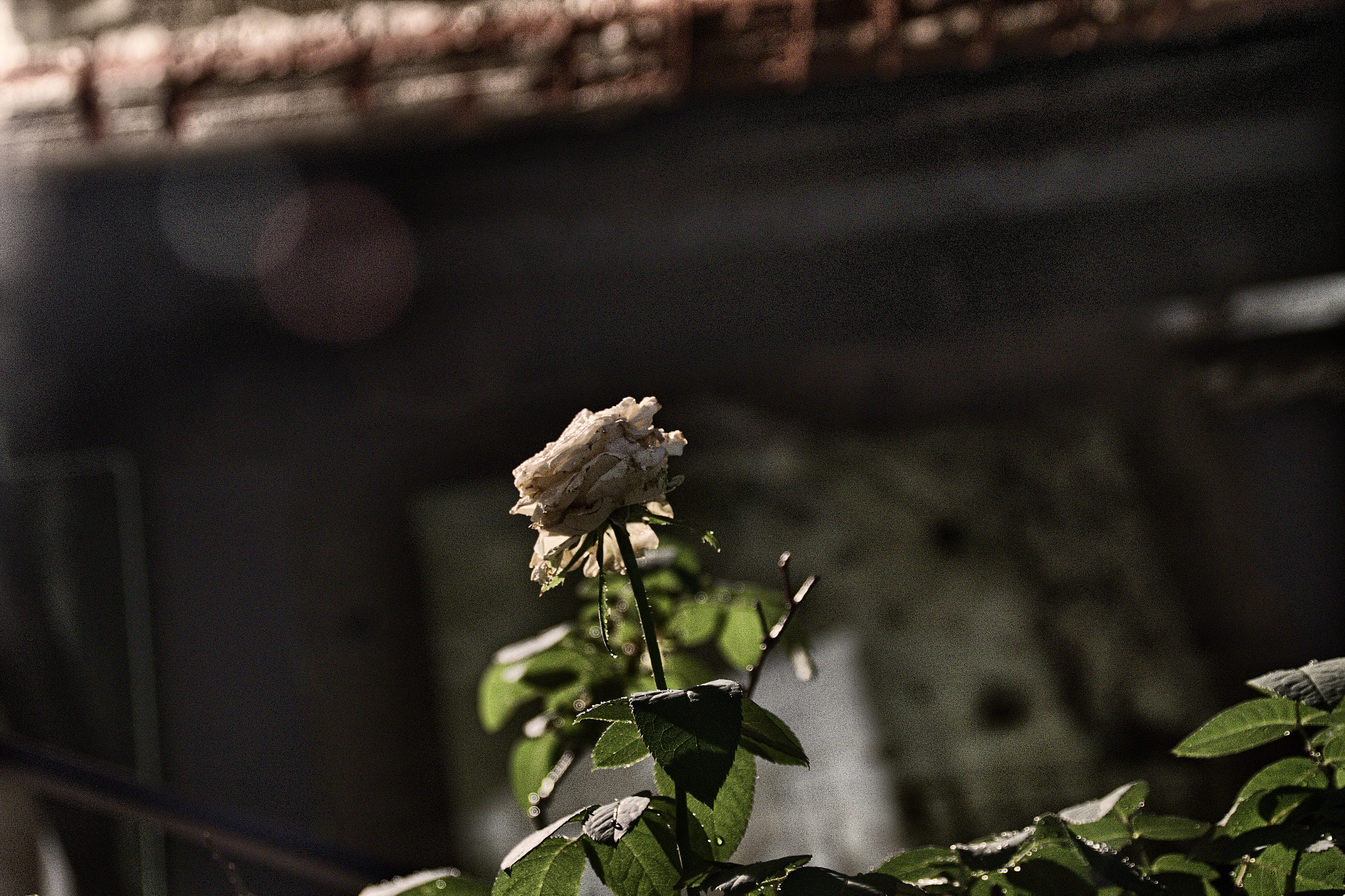 18.0 - 200.0 mm sample photo. Hdr photography