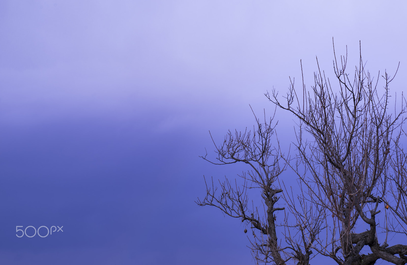 Tamron AF 18-200mm F3.5-6.3 XR Di II LD Aspherical (IF) Macro sample photo. "日本の冬"japanese winter photography