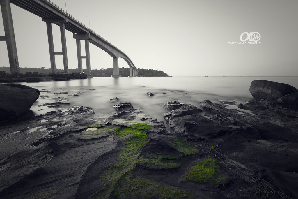 Sony Vario-Sonnar T* 16-35mm F2.8 ZA SSM II sample photo. Try to be green ! (ខេត្តព្រះសីហនុ) photography