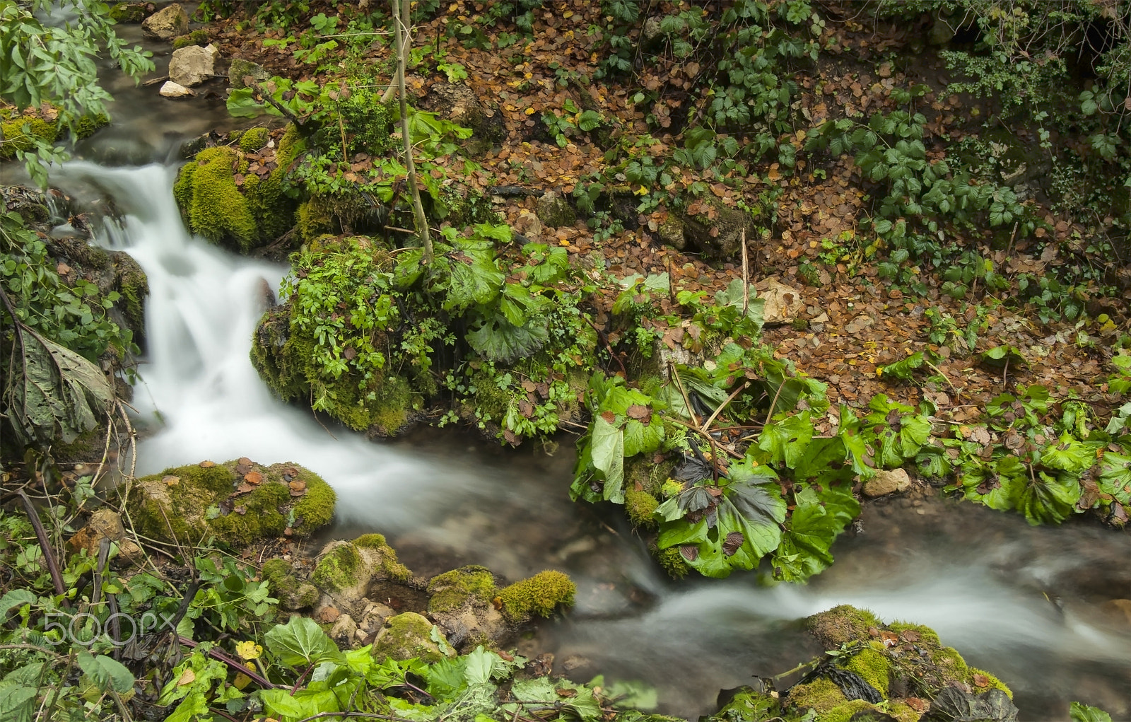 Nikon AF Nikkor 24-85mm F2.8-4D IF sample photo. Sülüklü göl deresi photography