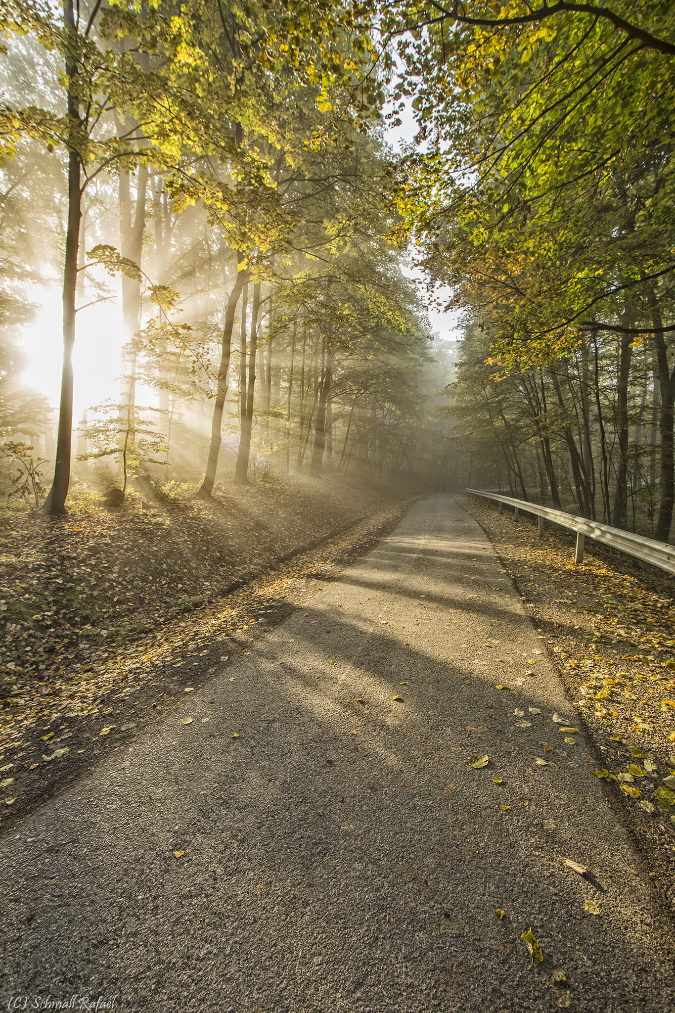 Sigma 15-30mm f/3.5-4.5 EX DG Aspherical sample photo. Thee longest road photography