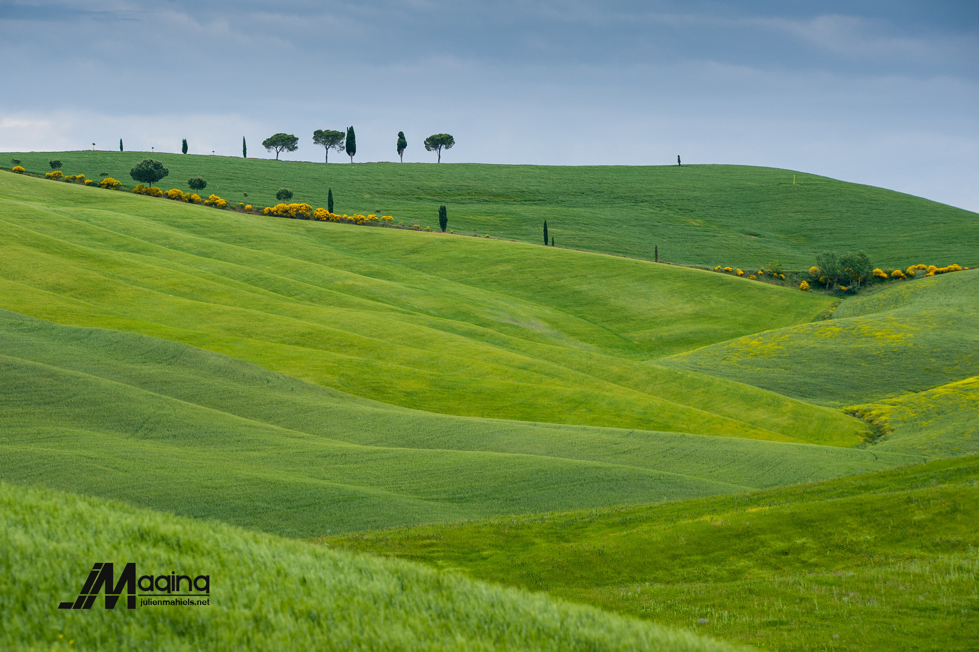 Nikon AF-S Nikkor 200mm F2G ED-IF VR sample photo. Tuscany photography